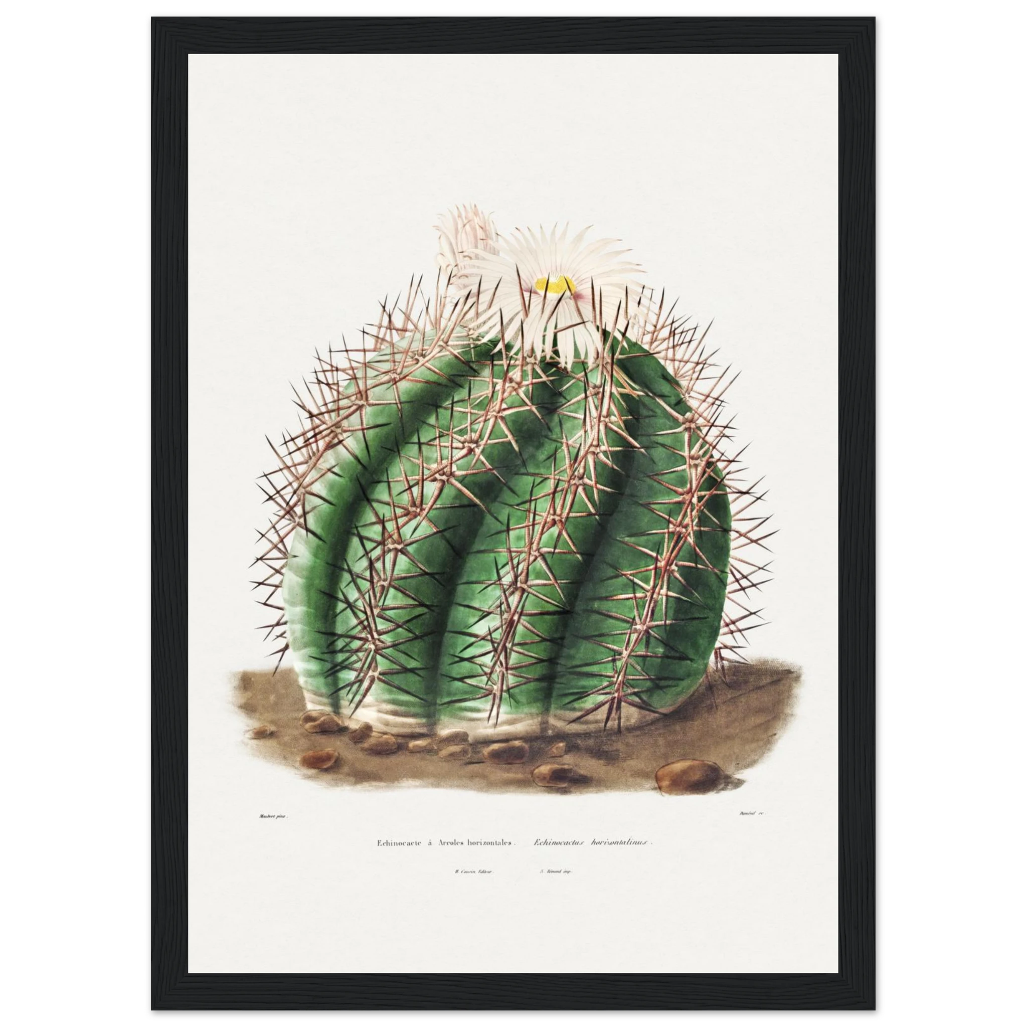 7ca82e5f-693c-4196-b0ac-afd870594f60