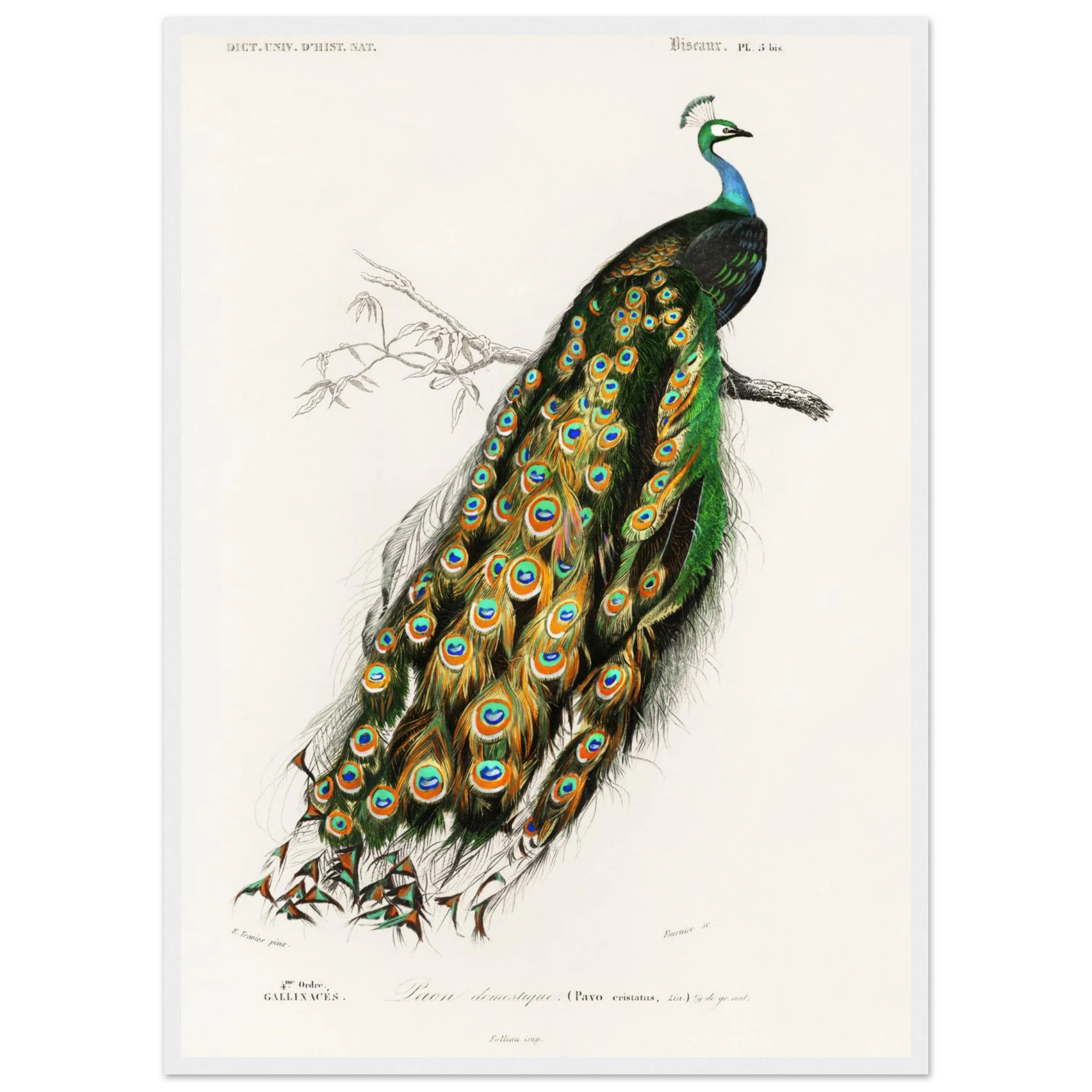 7cb73230-0ac0-442d-ad21-add6685291ed