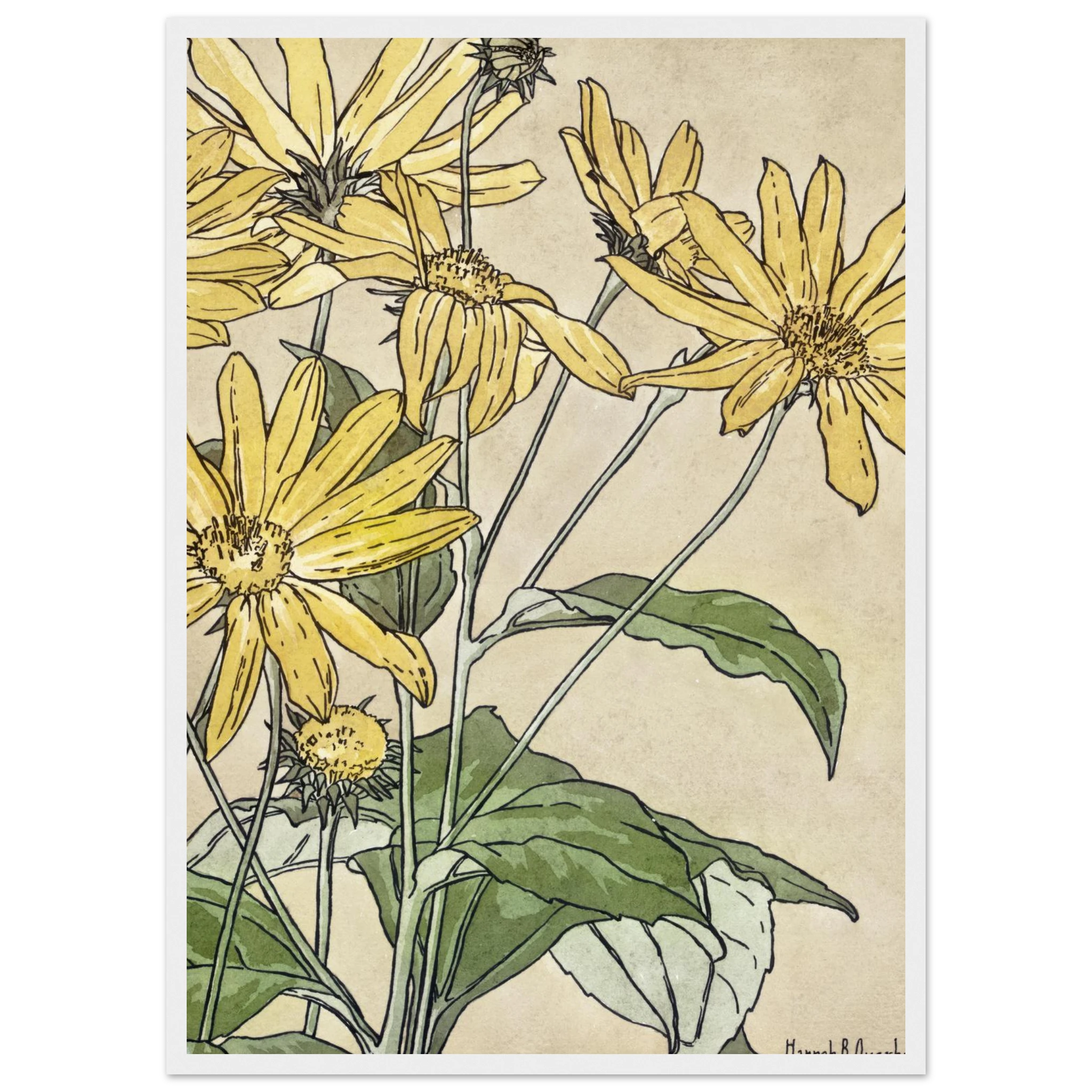 7d13b6ca-8e42-4b6d-acea-5d25d53a89ab