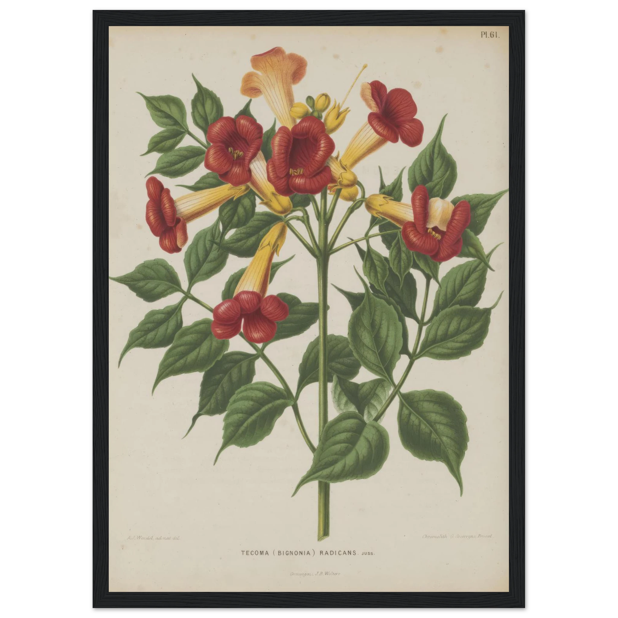 7d2c0ae7-65c6-4c1f-a876-1703acead5e9