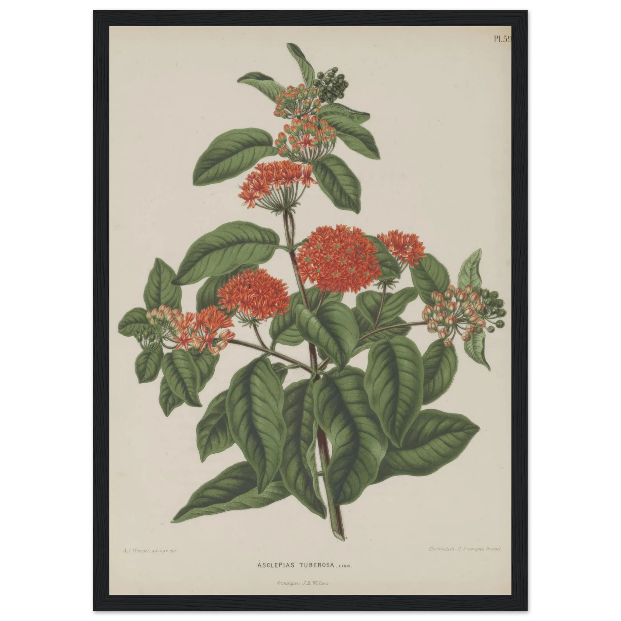 7d372469-adf9-4fe9-99d2-dcbd472348fe