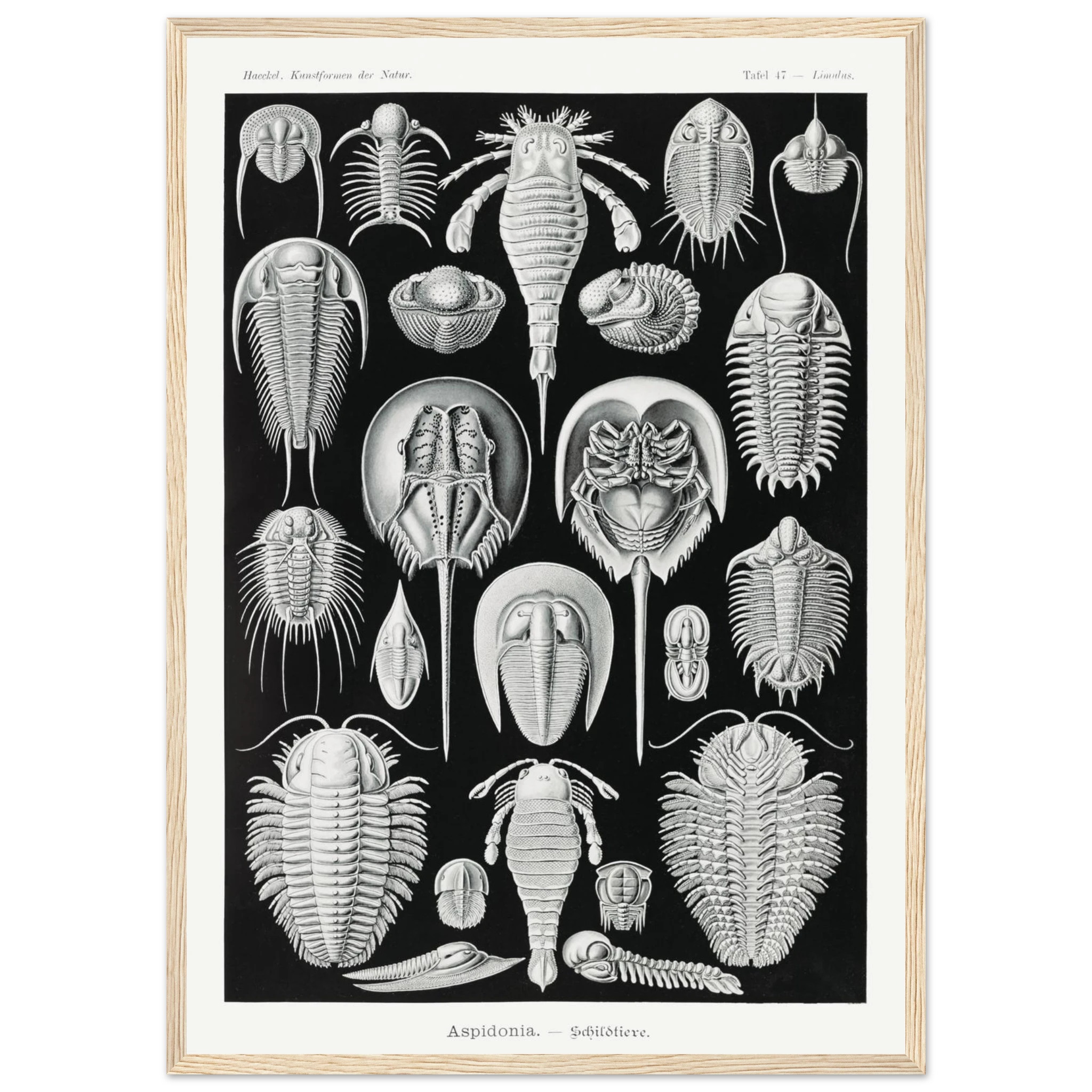 7d4fd2f3-7370-4e83-bf08-3abb52057b46