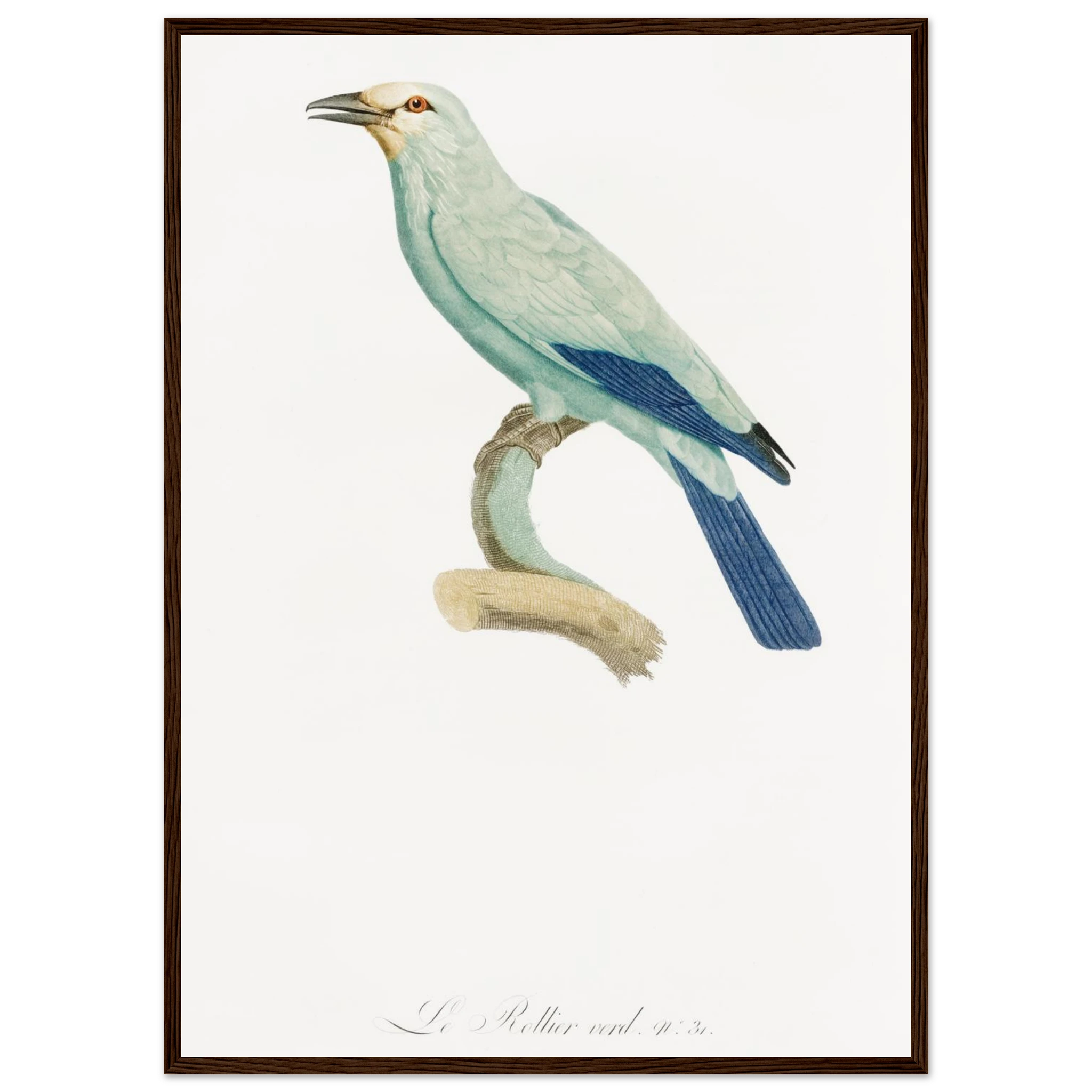 7da12e87-b4bf-40ef-af79-5c365fbc9baa