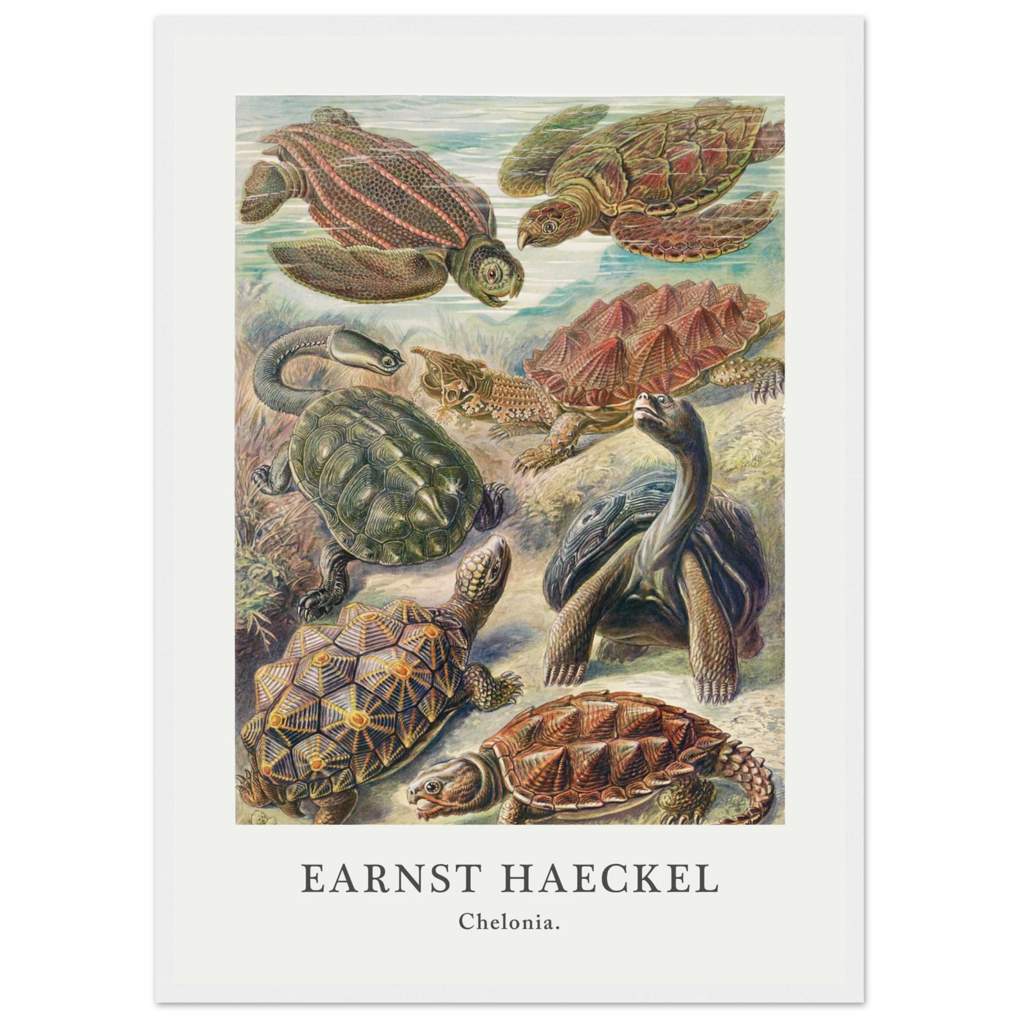 7da3c259-8385-4732-b4ec-07861c7958ab