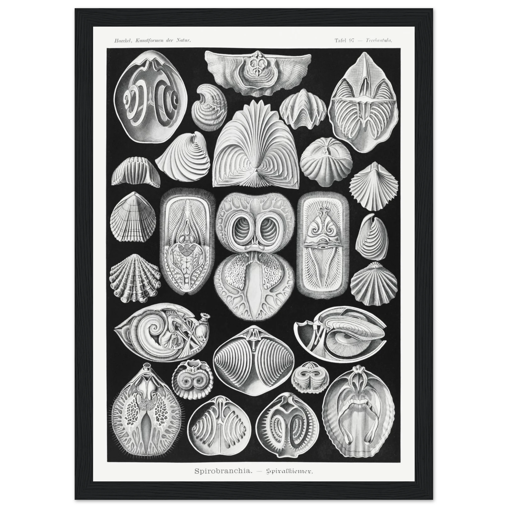 7db628e3-c20e-486c-a253-06bcc3eec47e