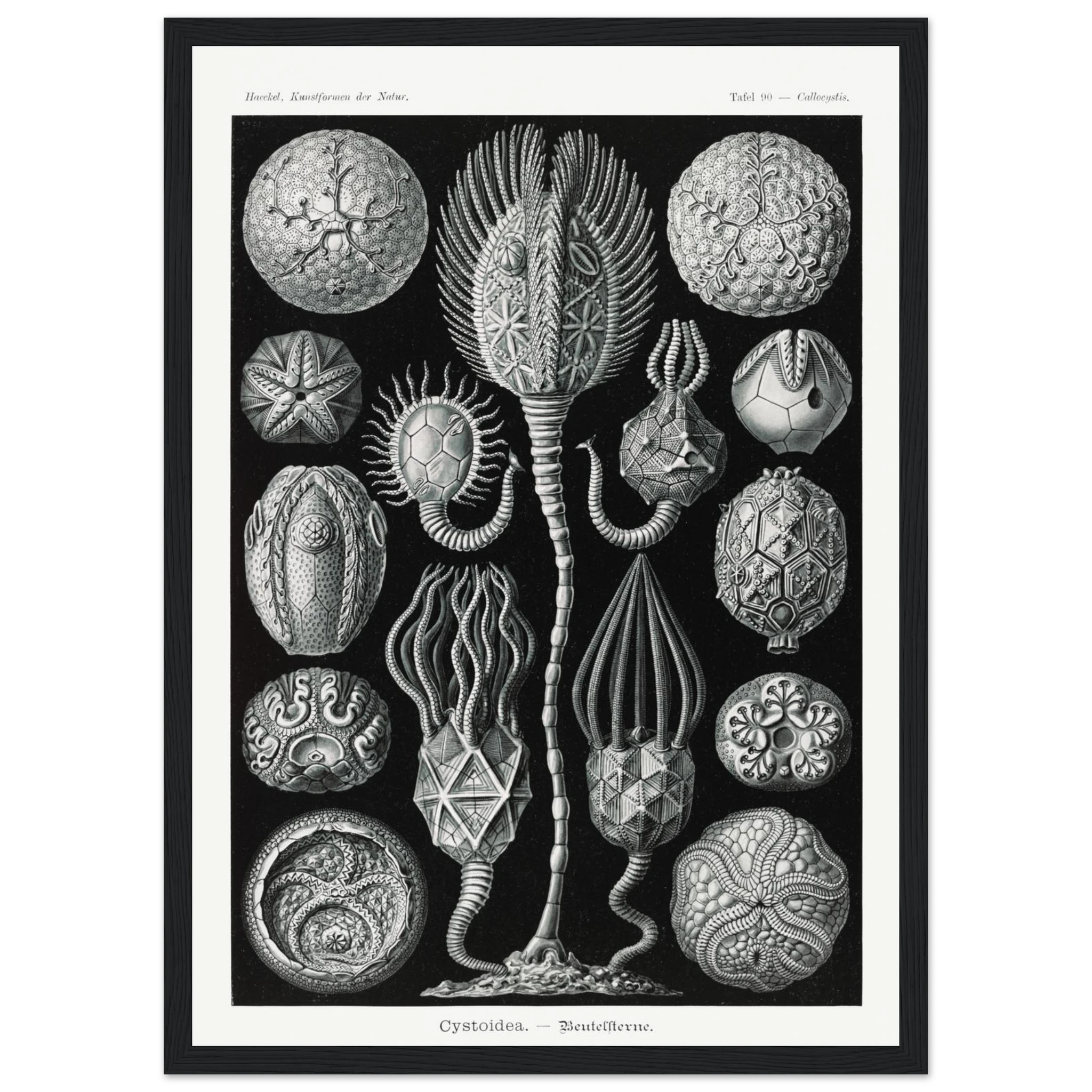 7db7b72c-d4f1-4ae8-94d4-6c15aeb43b61