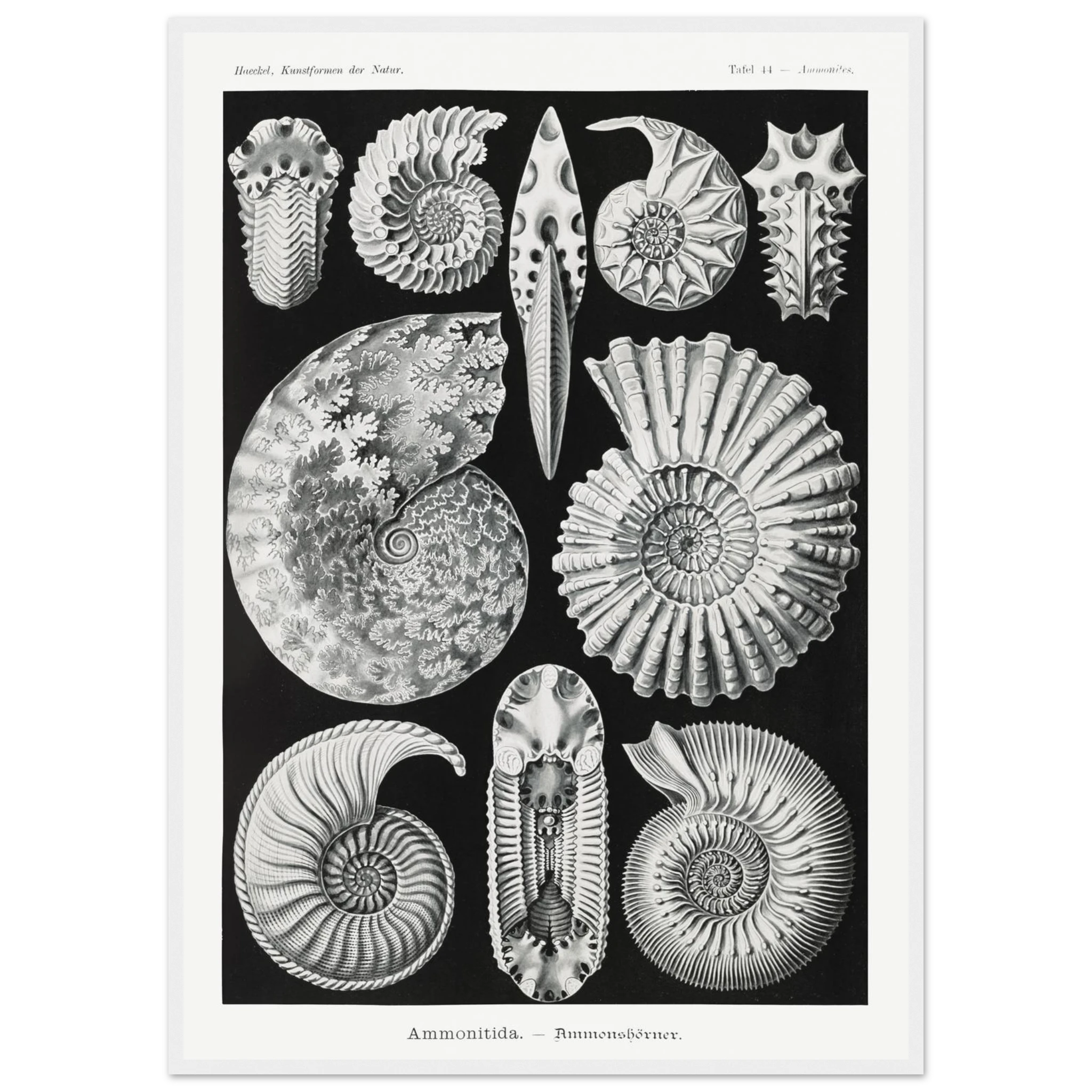 7e0af007-07a7-49cf-a0f8-1e2c000c2233