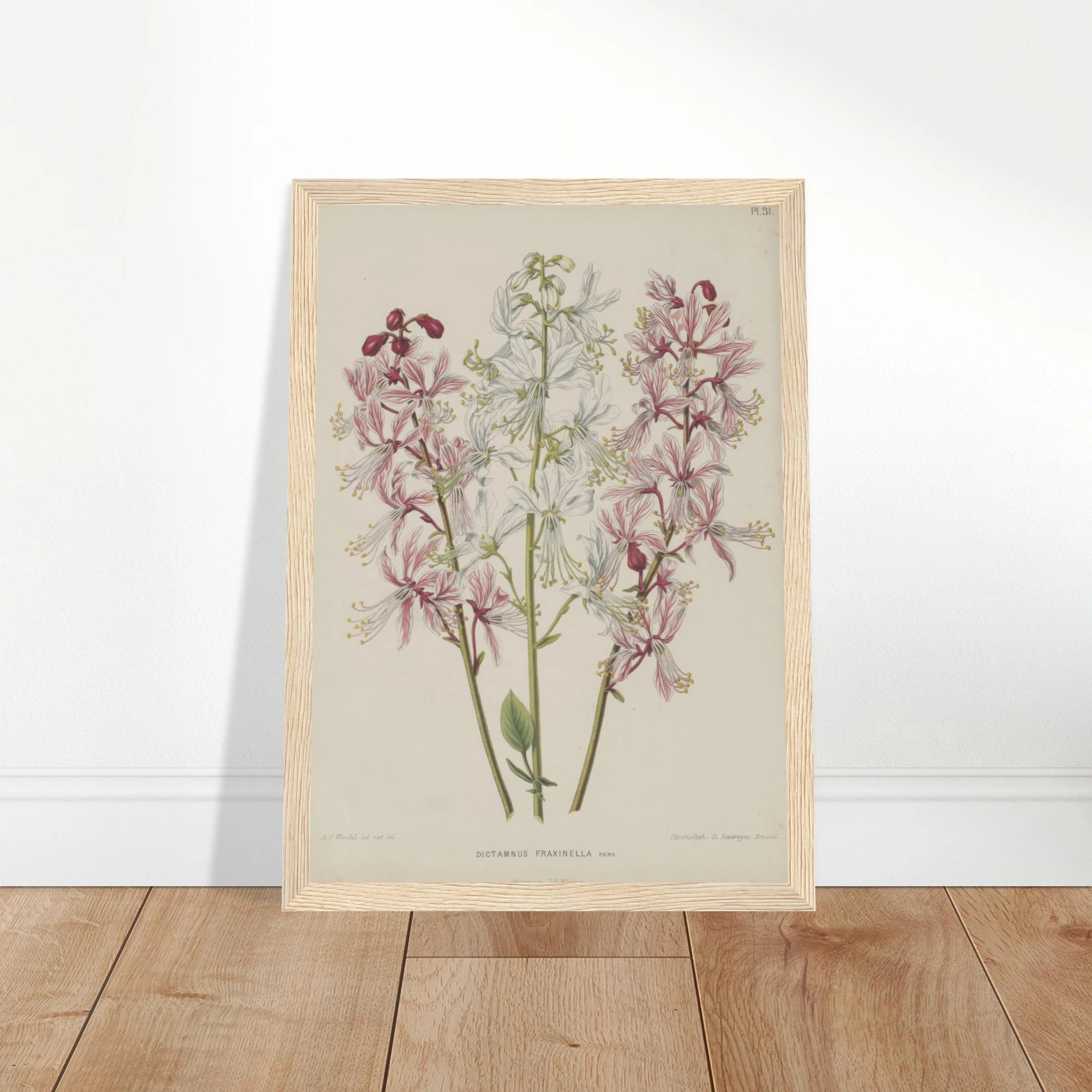 7e1eb520-d304-42b6-a25e-3adc3411beae