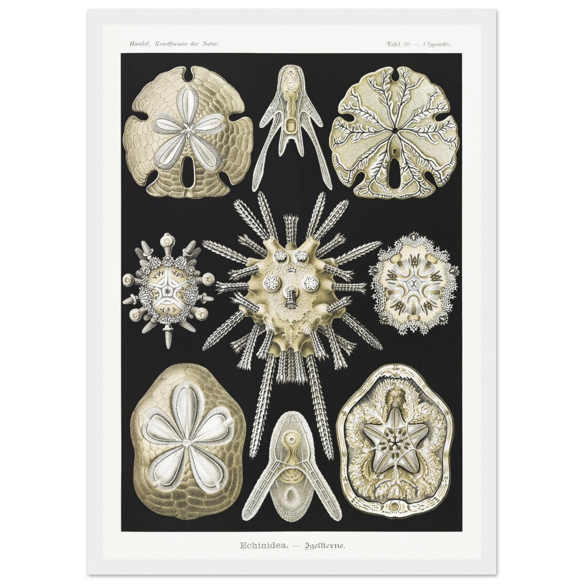 7e37e29c-a512-43fe-b26c-d4956ce01f72