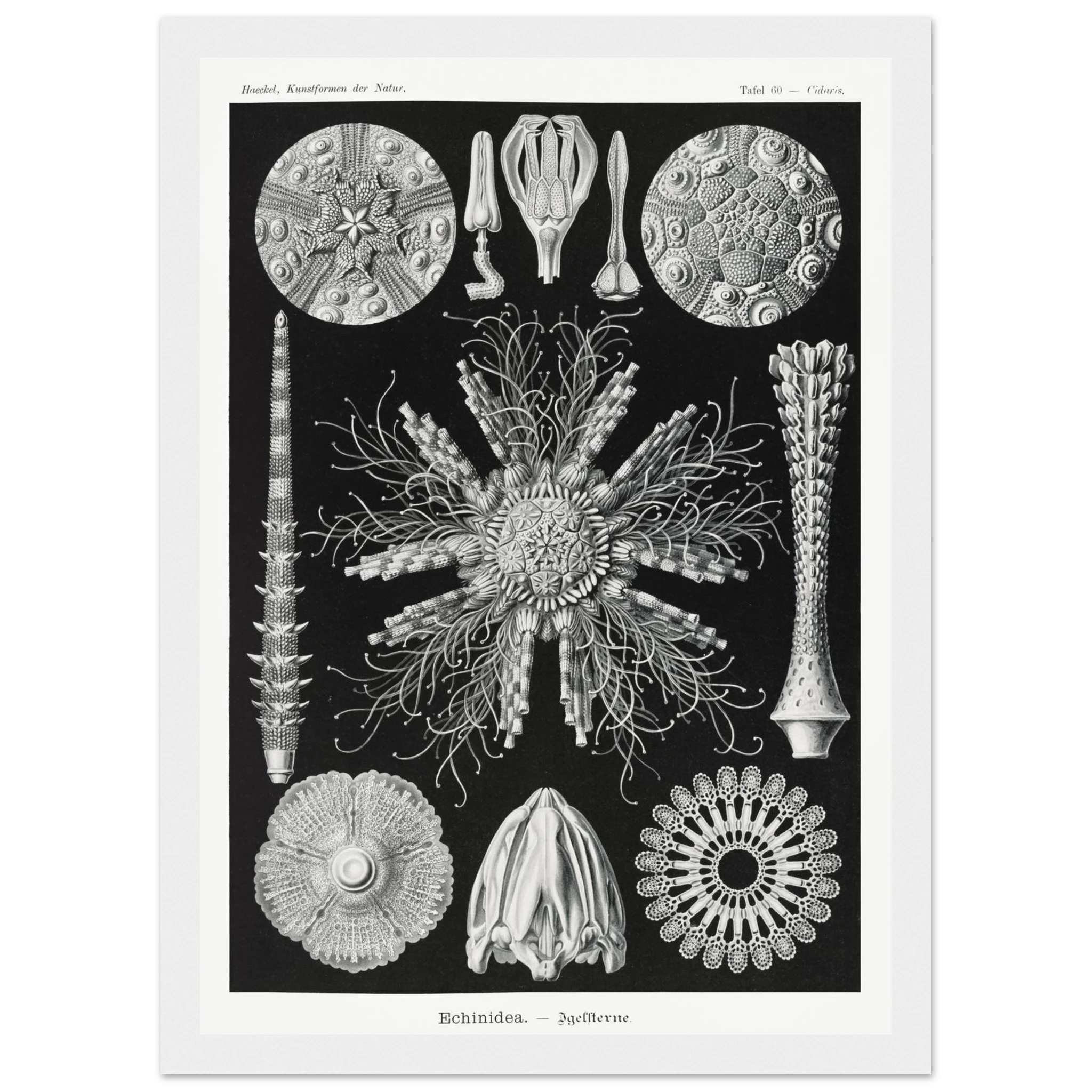 7e504f0a-3d7c-4bdc-b92c-0919f6c360d6