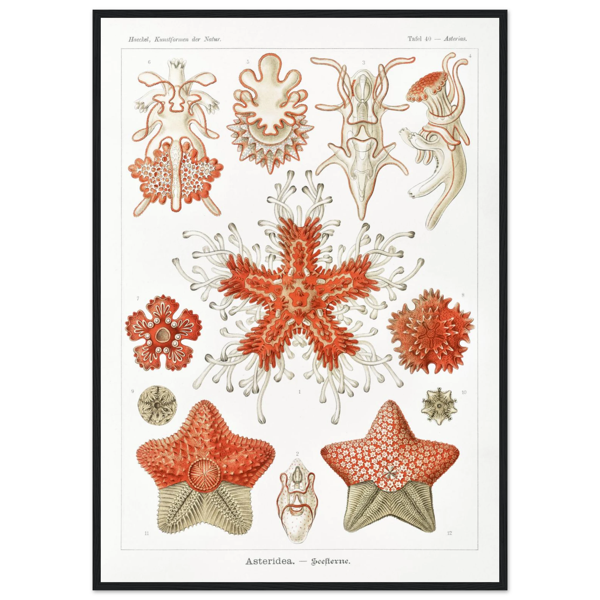 7e50ee2e-a7b4-477c-9b11-d2a627fa1323