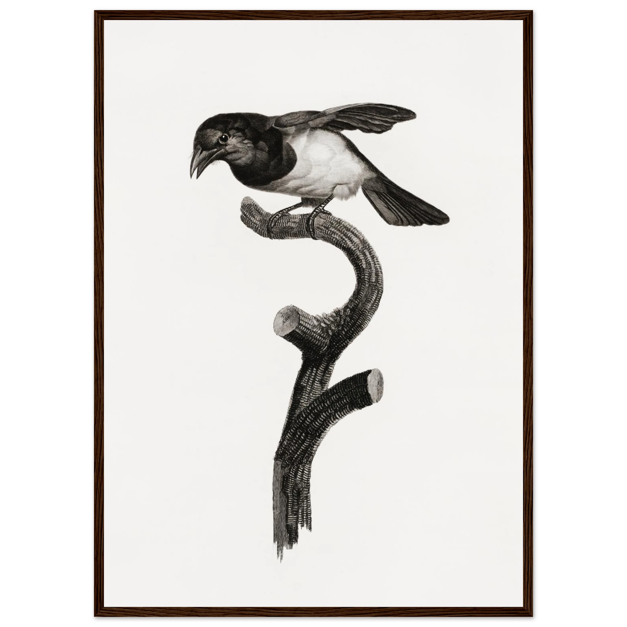 7e9f36f0-873f-4598-9d63-1e6f63fbcb6e