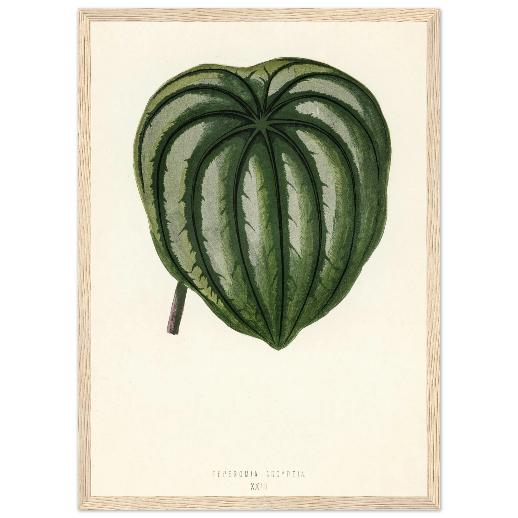 7ef7851d-a21f-4cf7-893a-afd9c156fbf1