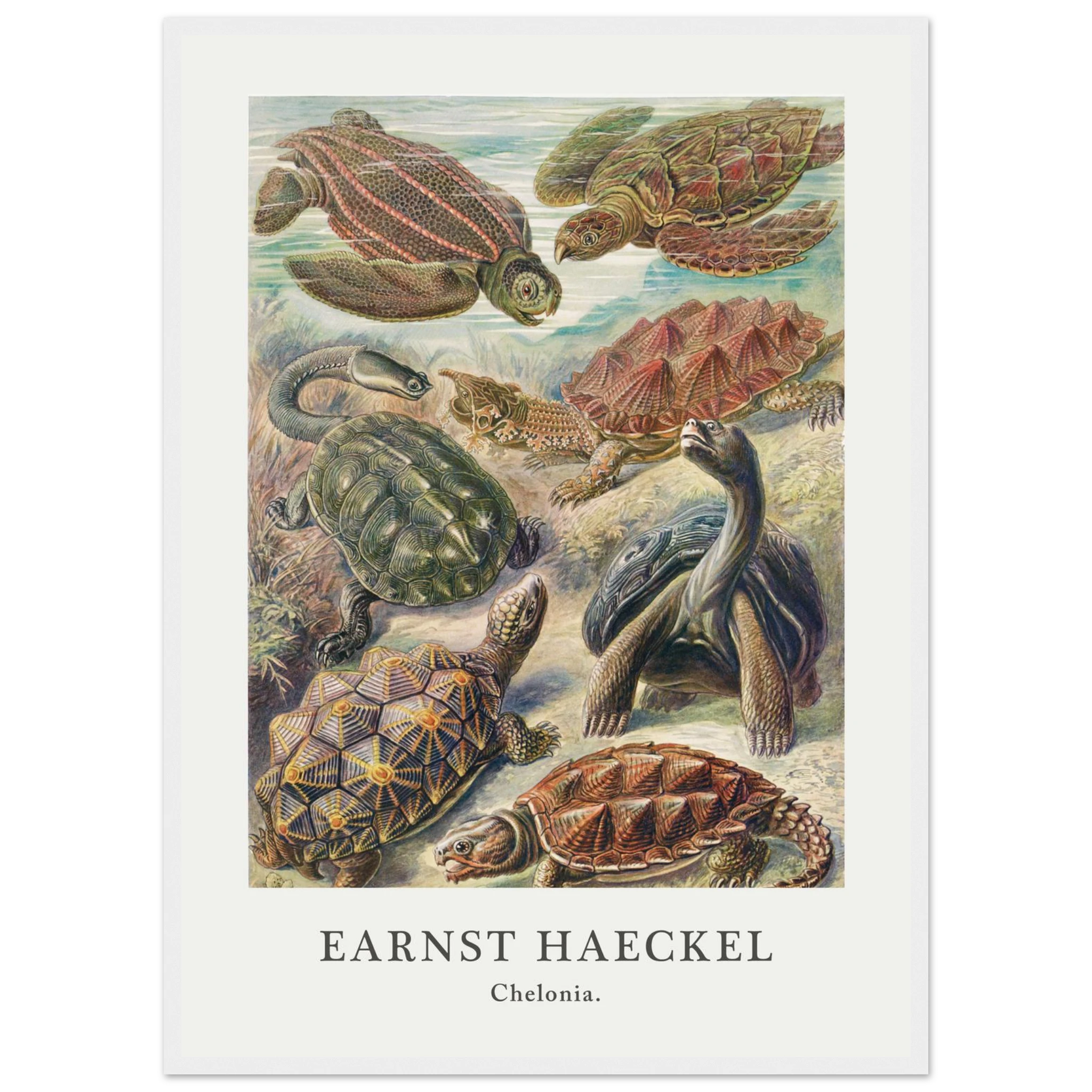 7f3829dc-d8b2-4ca2-b8cf-9d6e62f46c41