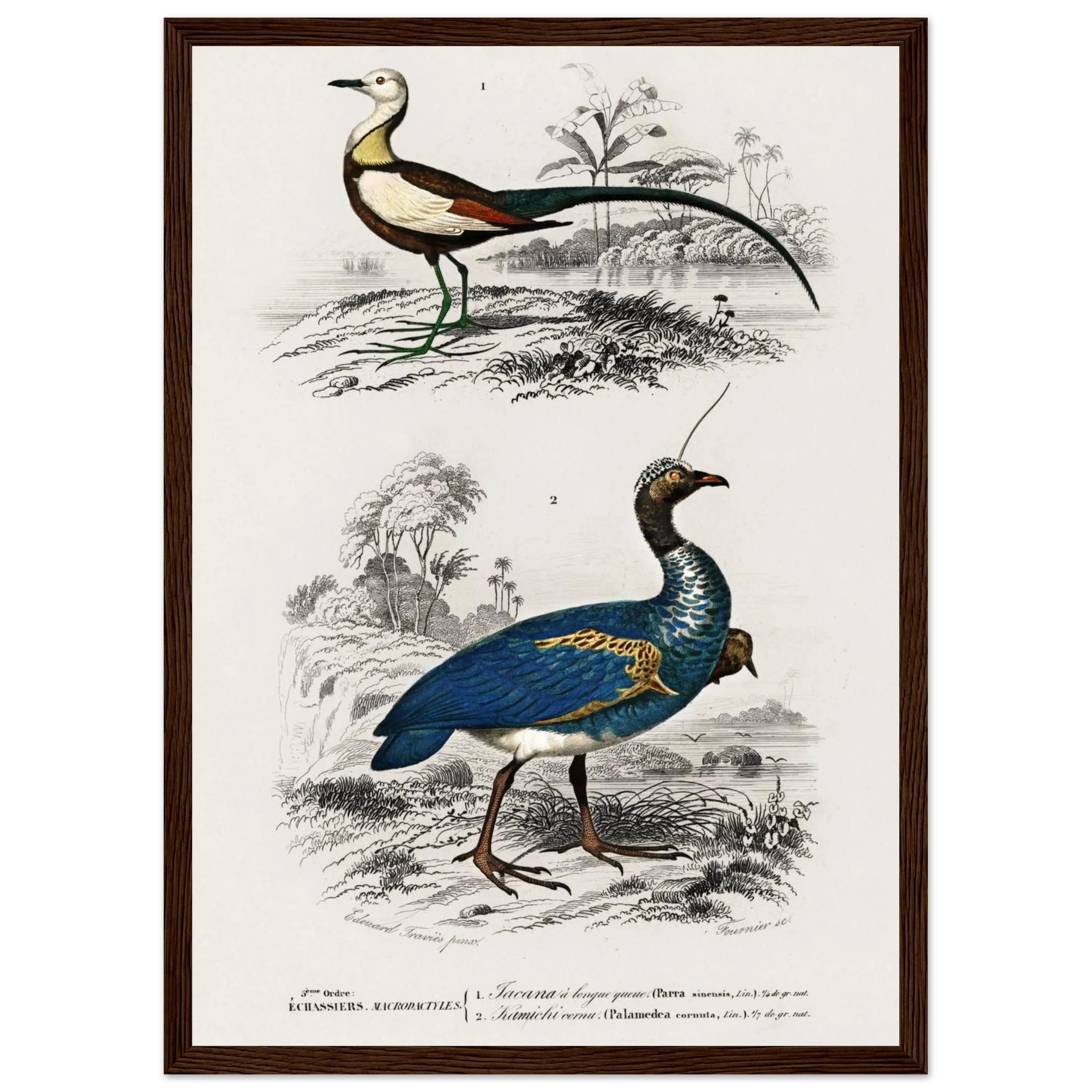 7f39a6c6-cd80-4342-9ad6-169942d324ac