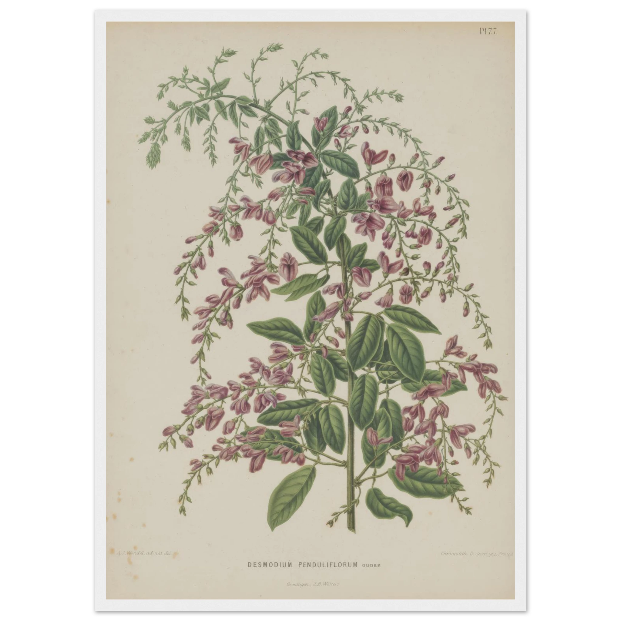 7f5bbfa0-49e7-466b-bbe8-df25fe22b8d7