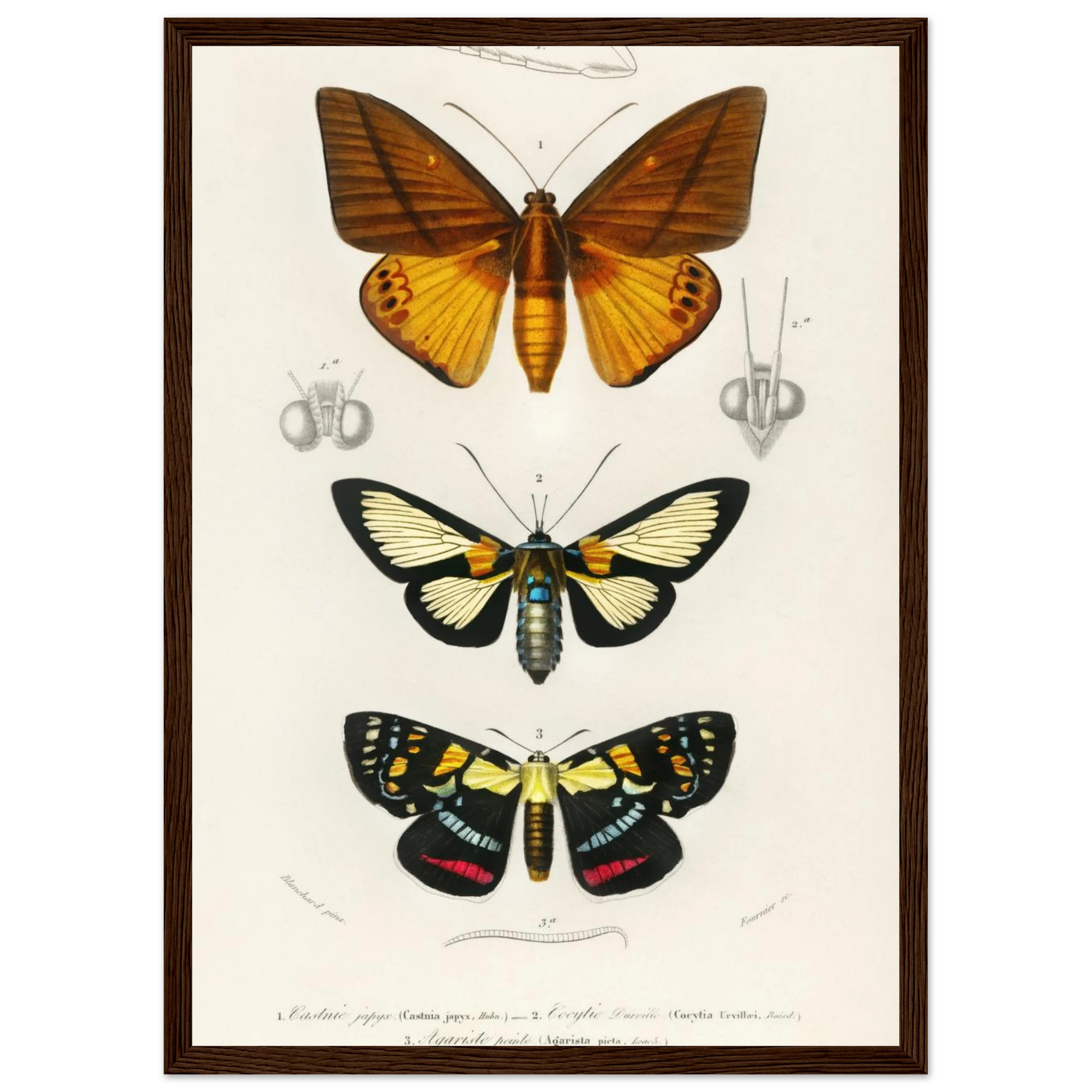 7fcfa109-caa9-4365-b69d-fe15fecfa3cf