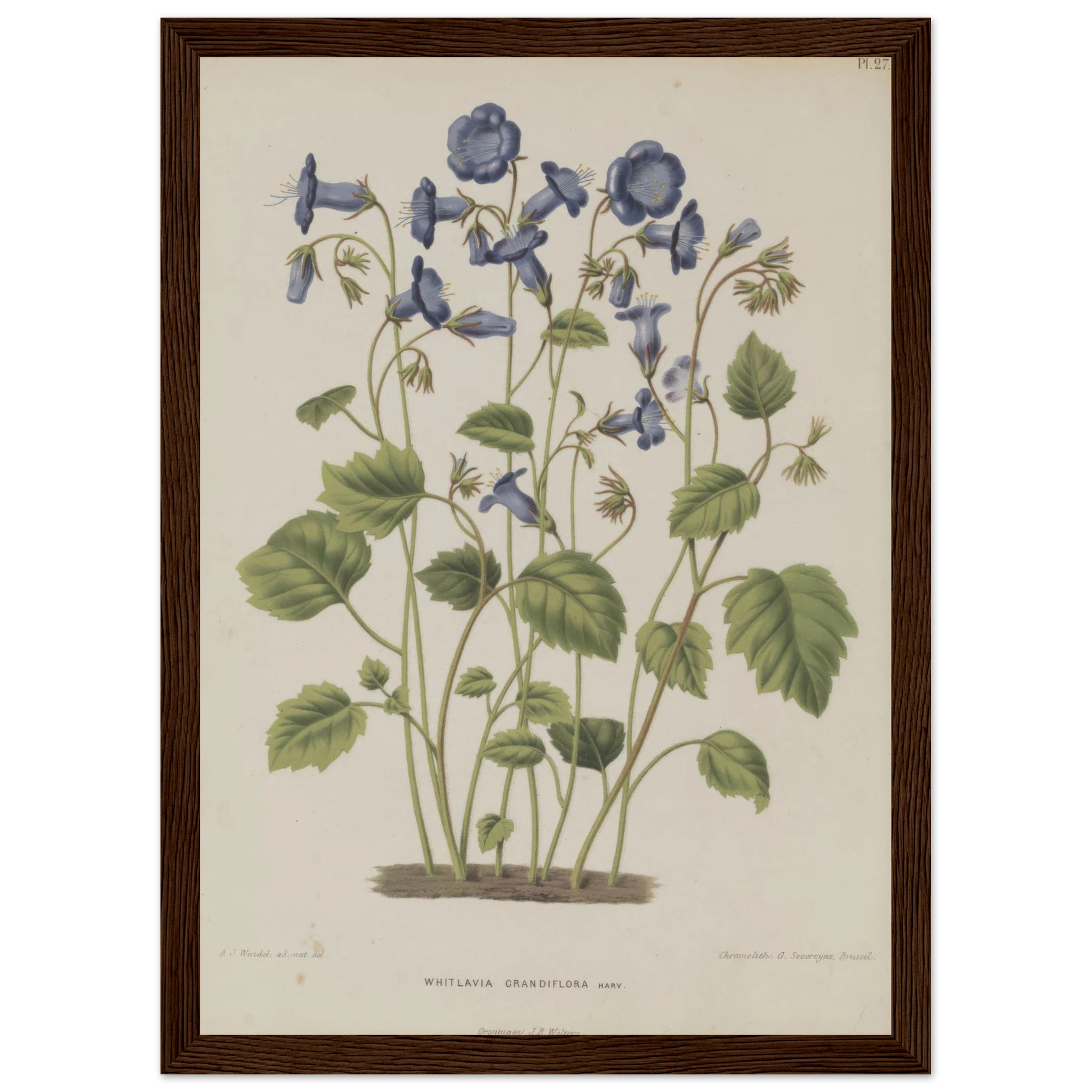 80141b80-dc5c-4a0b-aa3e-39bdcd7ba377