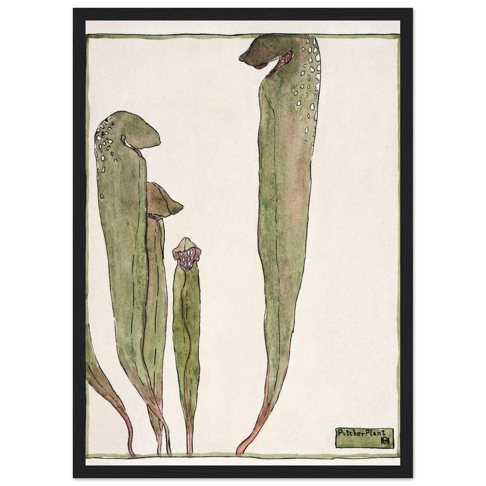 805c3aa1-281c-4c4f-9342-65c59e0e4060