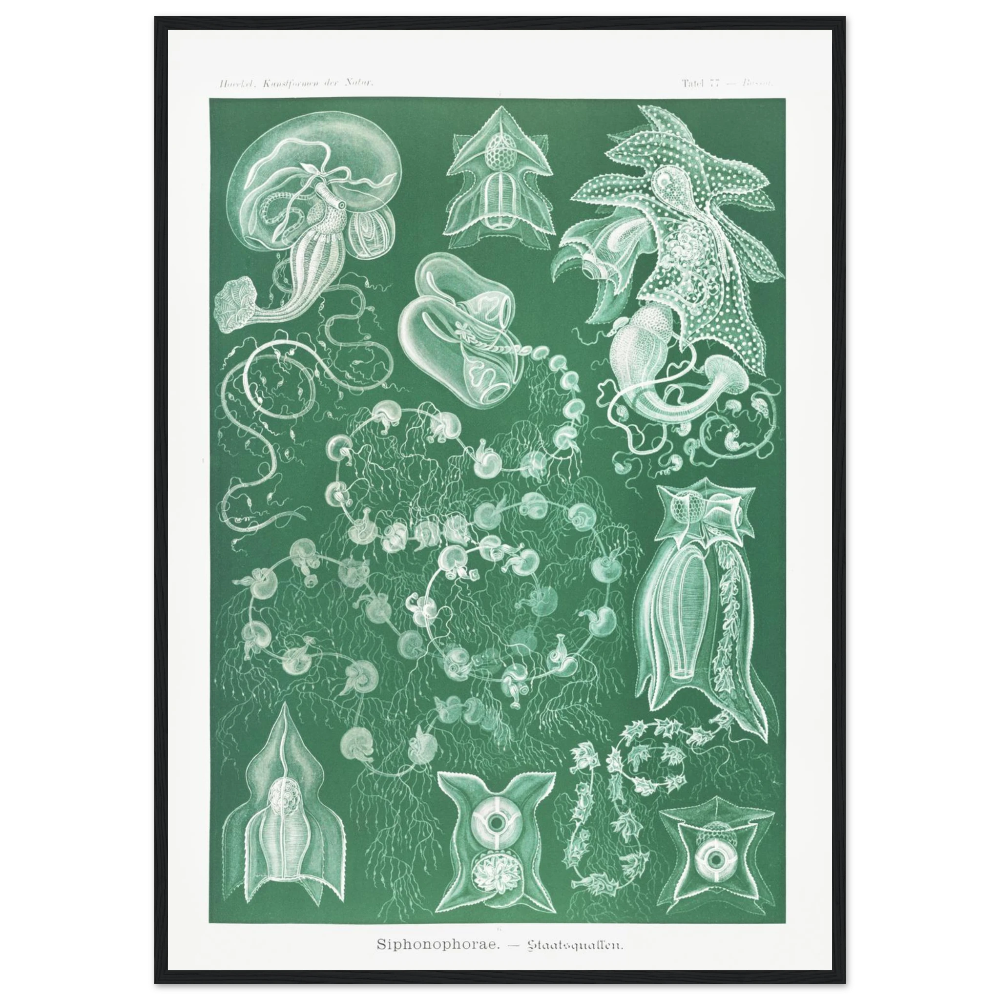 80895db7-2fde-4b55-ae82-ea528b9bfd48