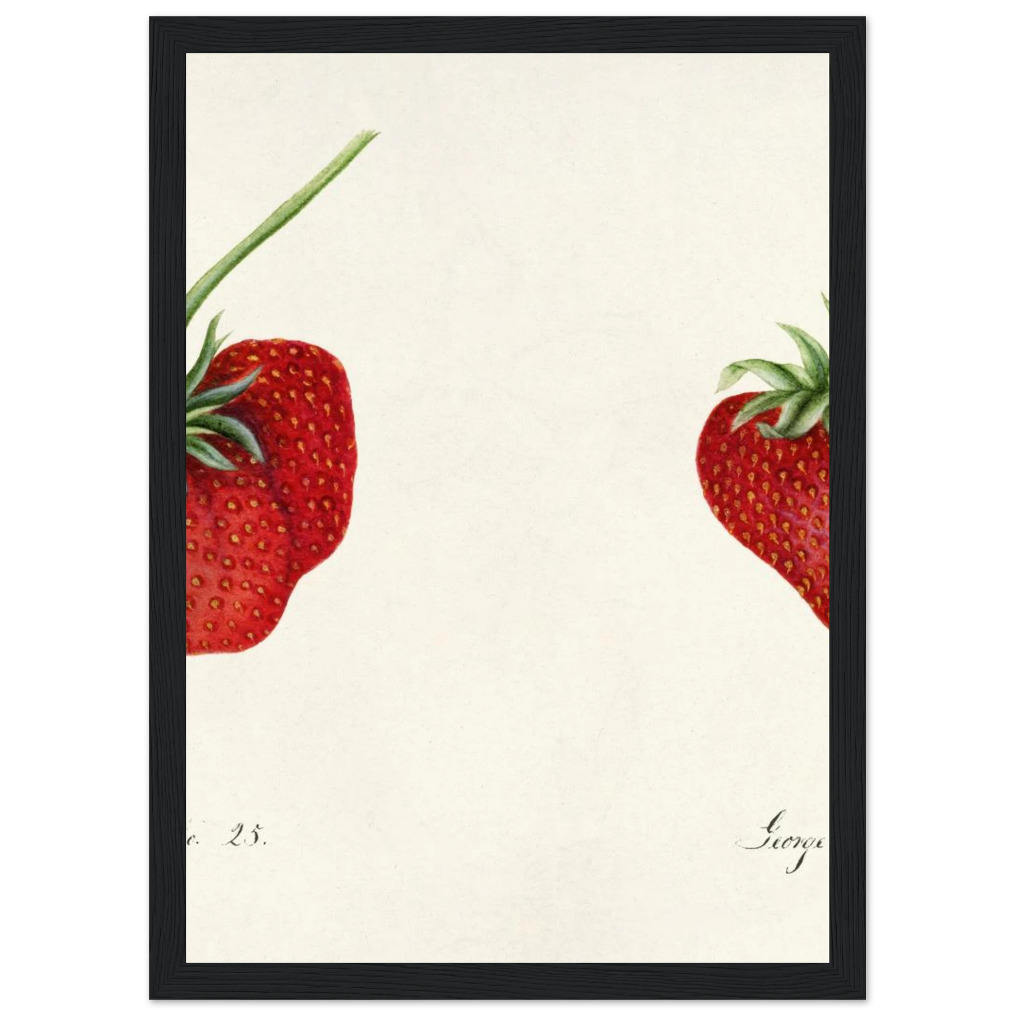 8095fb13-cc42-477b-9a89-5f8f4253548d