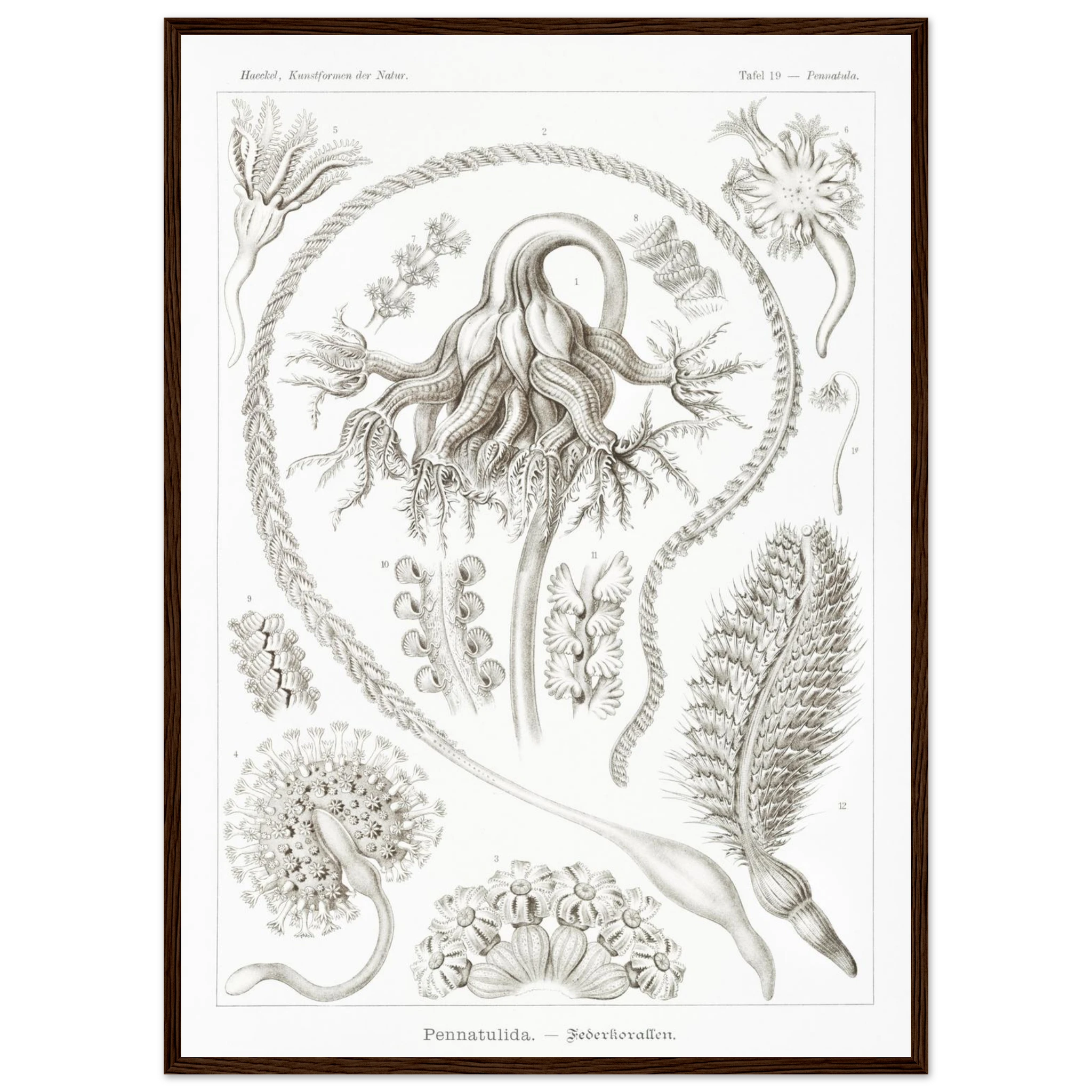 80dc7df6-bb86-4ceb-923d-576f95d5c6dc