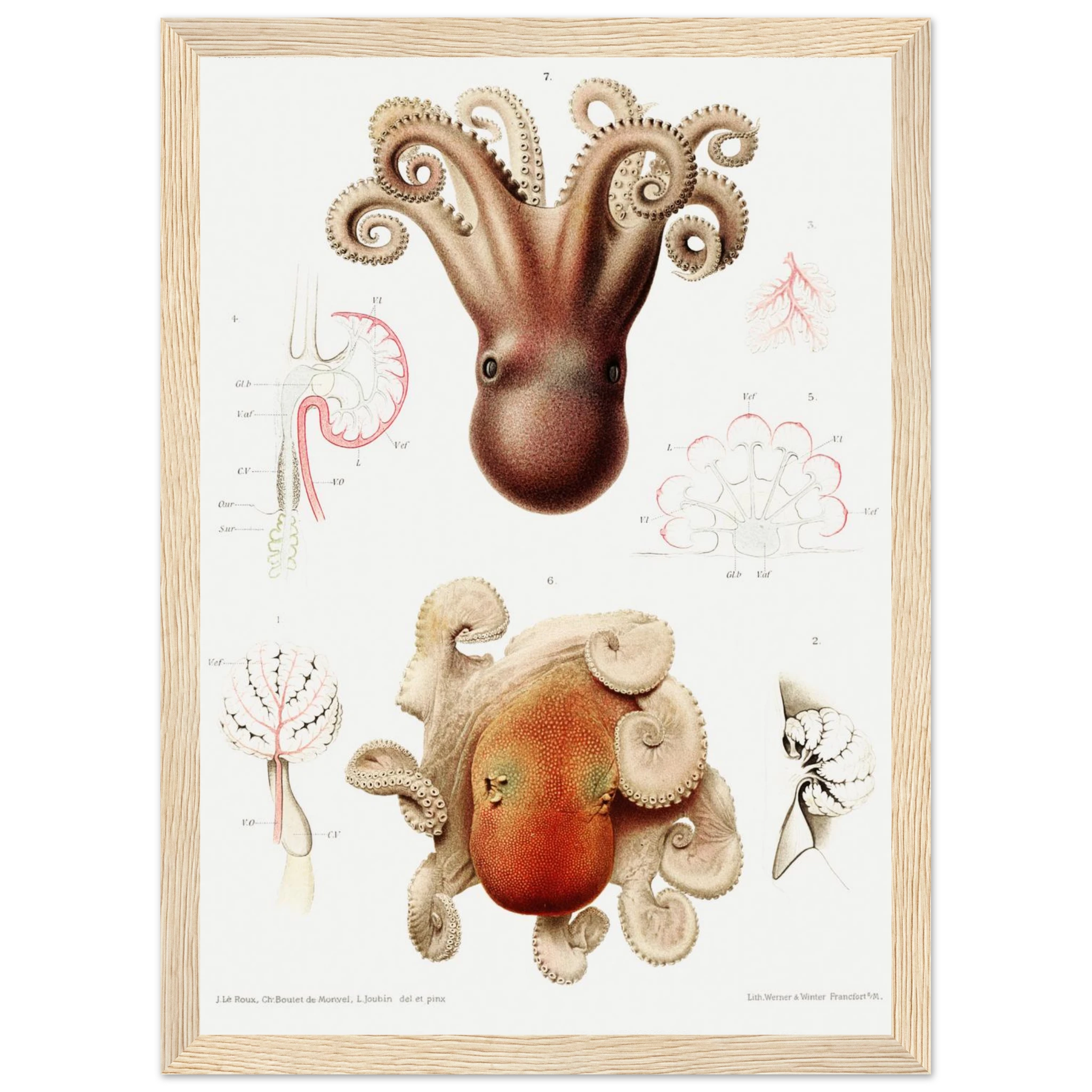 80e8ef63-9aa2-468f-a8e0-9bce1b0cdbe6