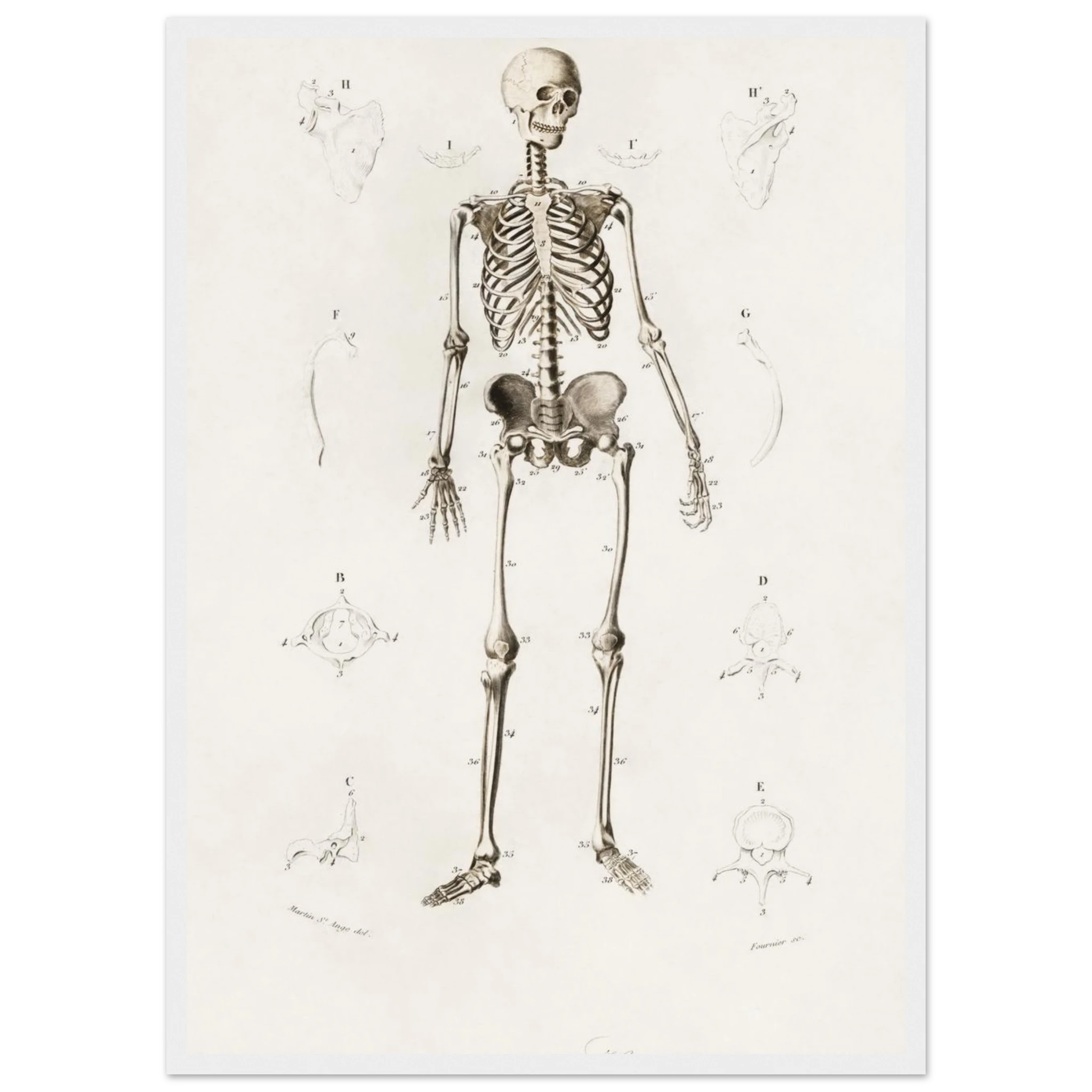 80f3dd91-83ff-445f-afae-18c6070f3421