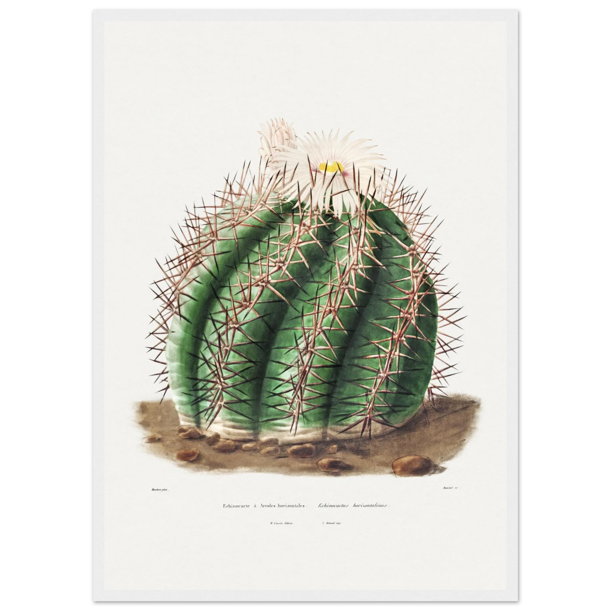 810ae23b-067b-409c-953f-82519ed55f7f