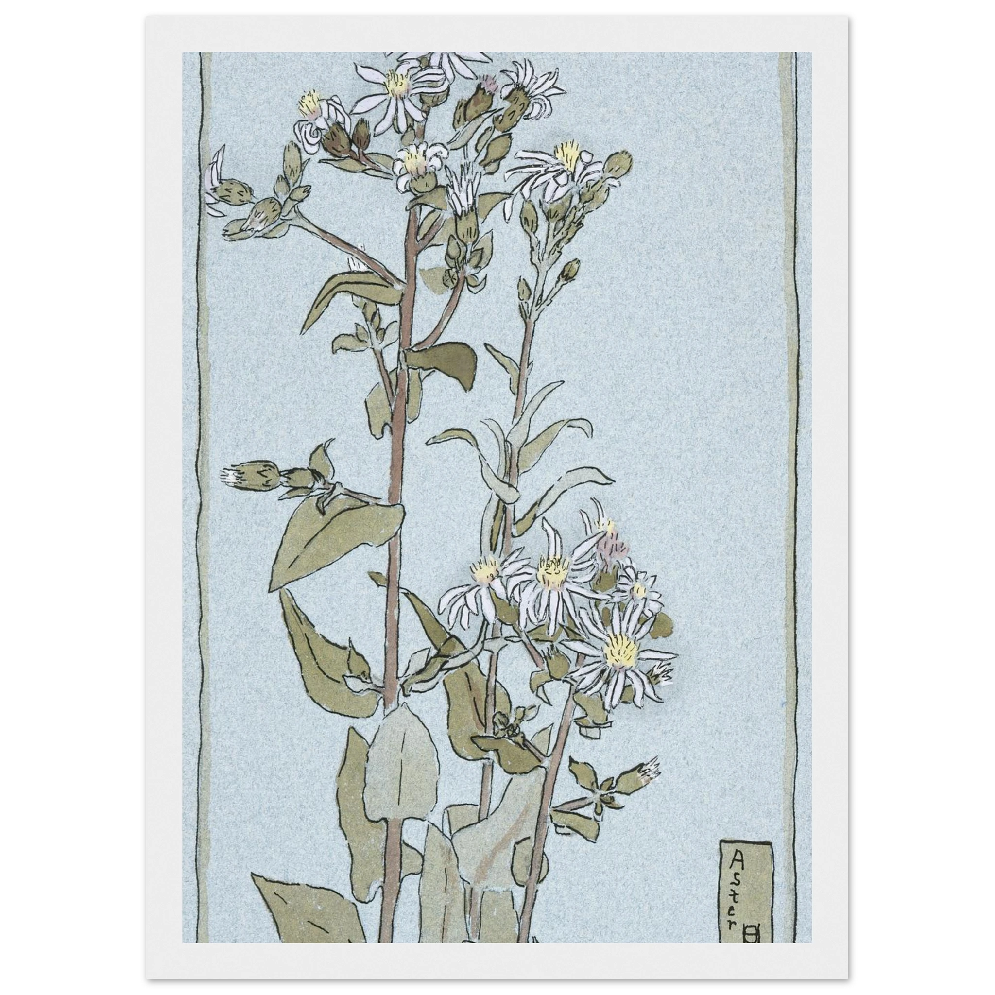 811aa7be-5ece-4b1f-b958-75d7a2a43500