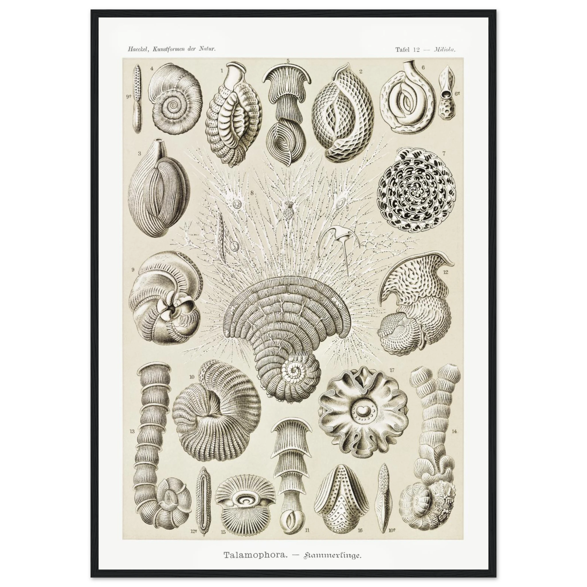 815ba964-1652-4026-8953-c3dfe249ce21