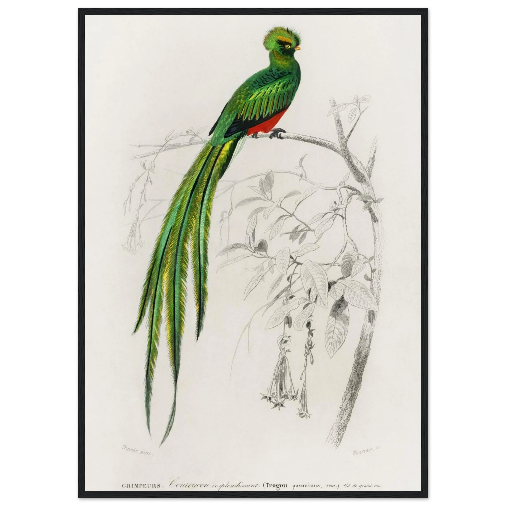 81a5fa81-e99e-4d10-83b6-a954be7bf722