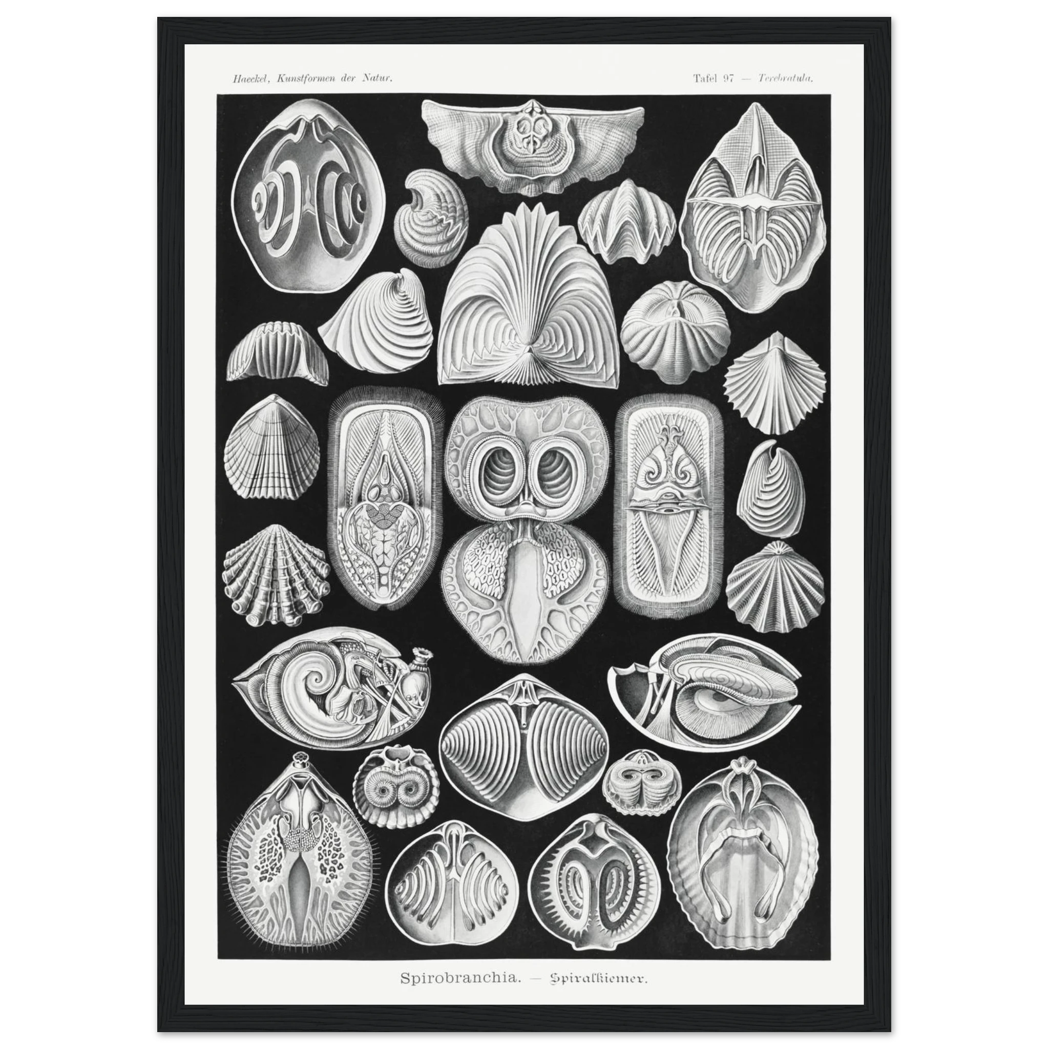 8215a207-bbf1-47da-9363-e5b47e8ae978