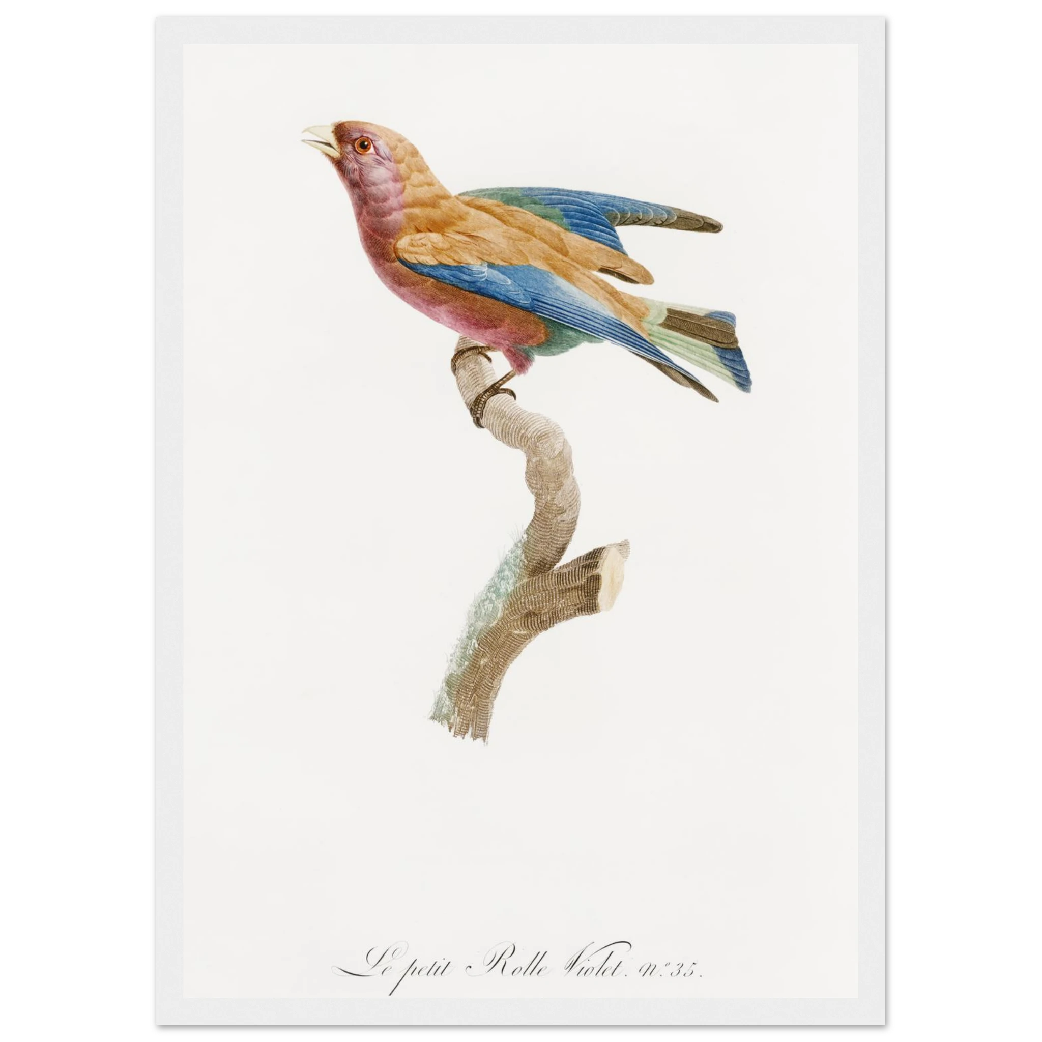 8243393b-0d41-45f2-a3cb-f12040efbf71