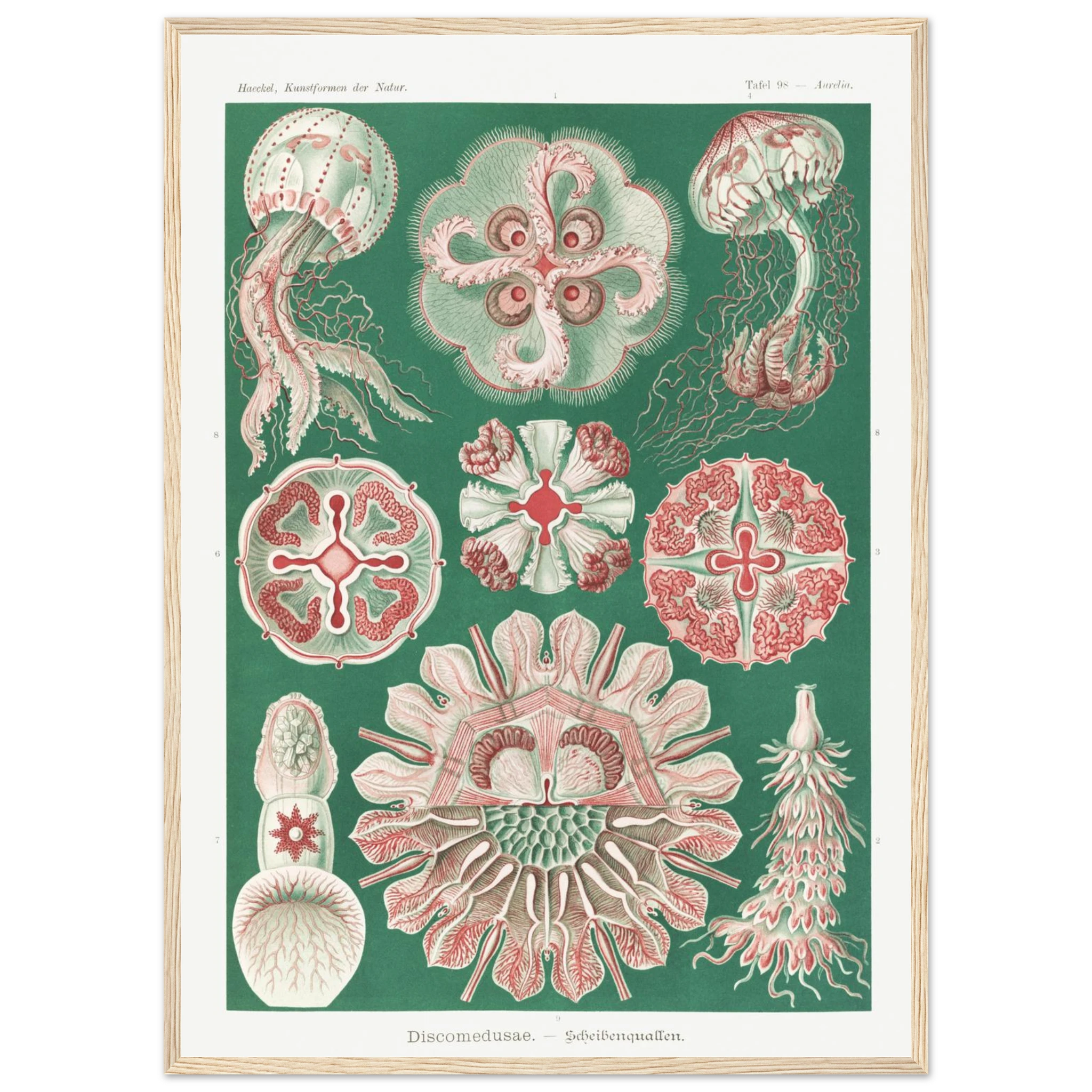 8254419d-a5c4-47cb-af10-a621b440a911