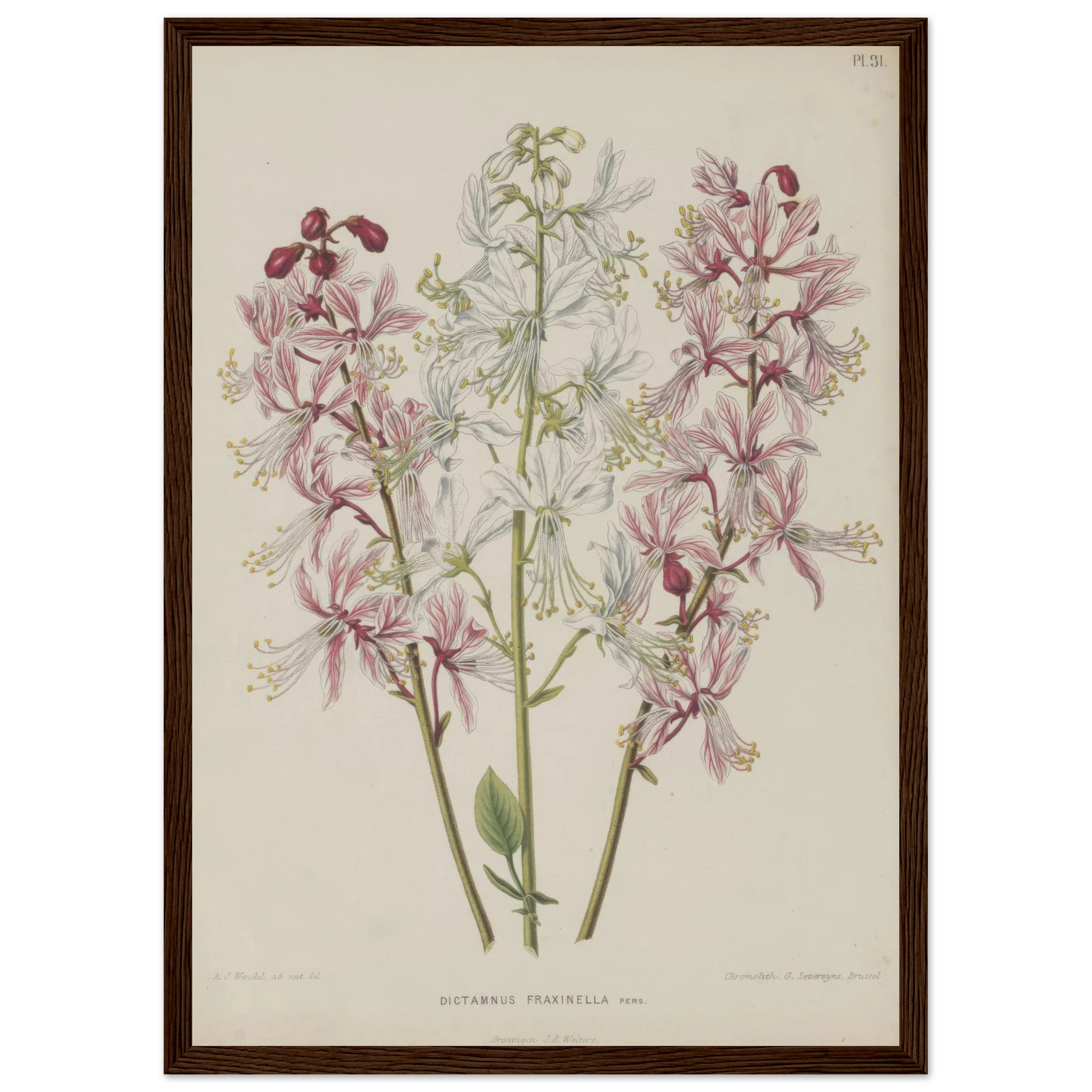 82681f3f-9f0c-4bc6-976e-318ad9d0601d