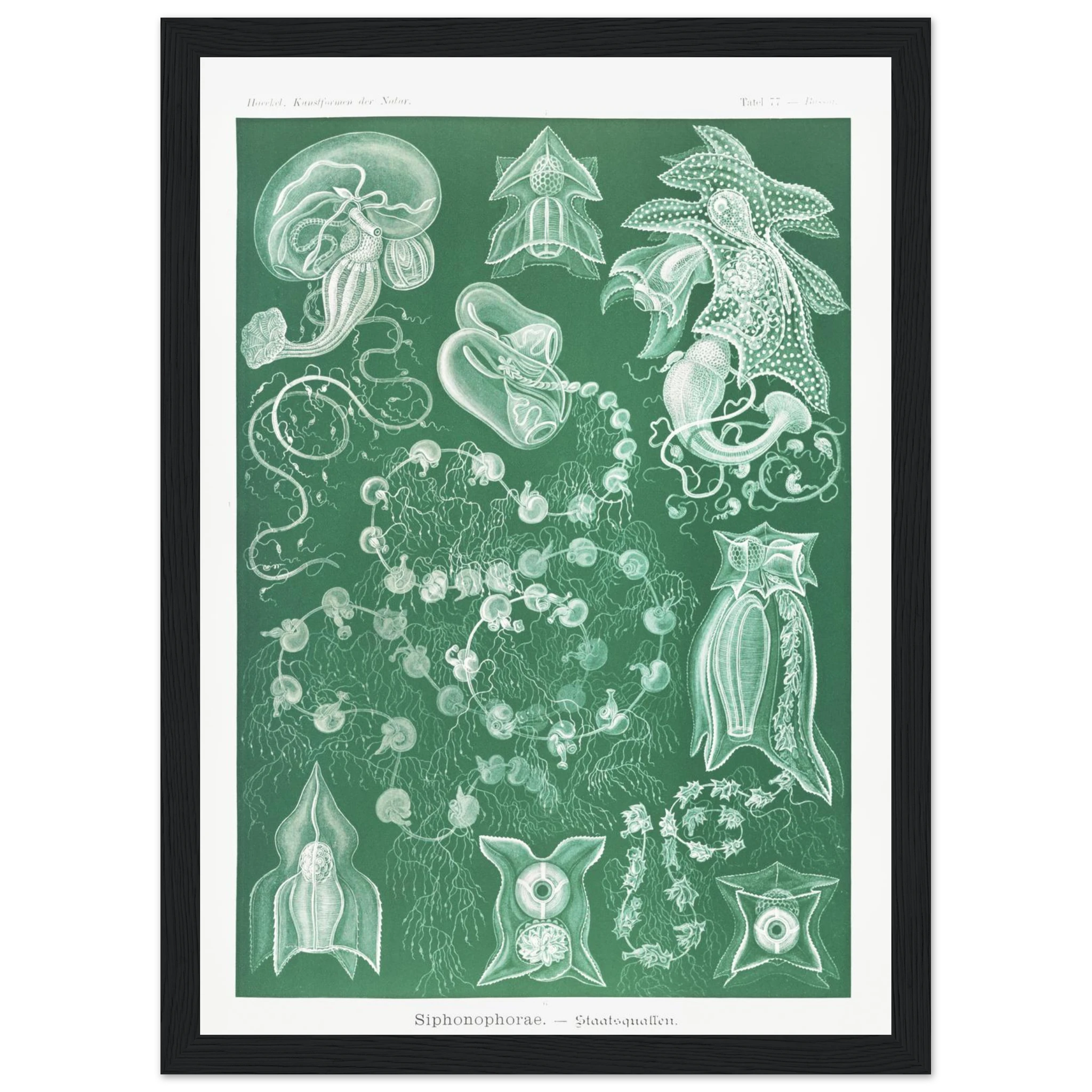 826c77e1-972c-4206-90d2-27104d2d1042