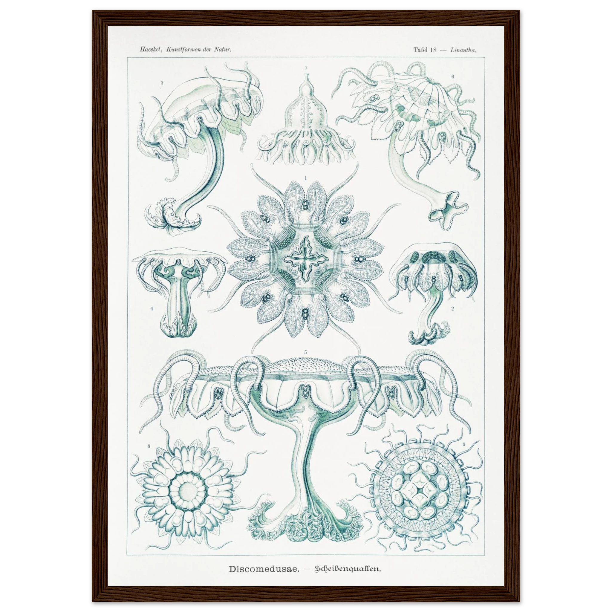 8285bf97-55d9-40f9-9d7a-6a68ac867e13