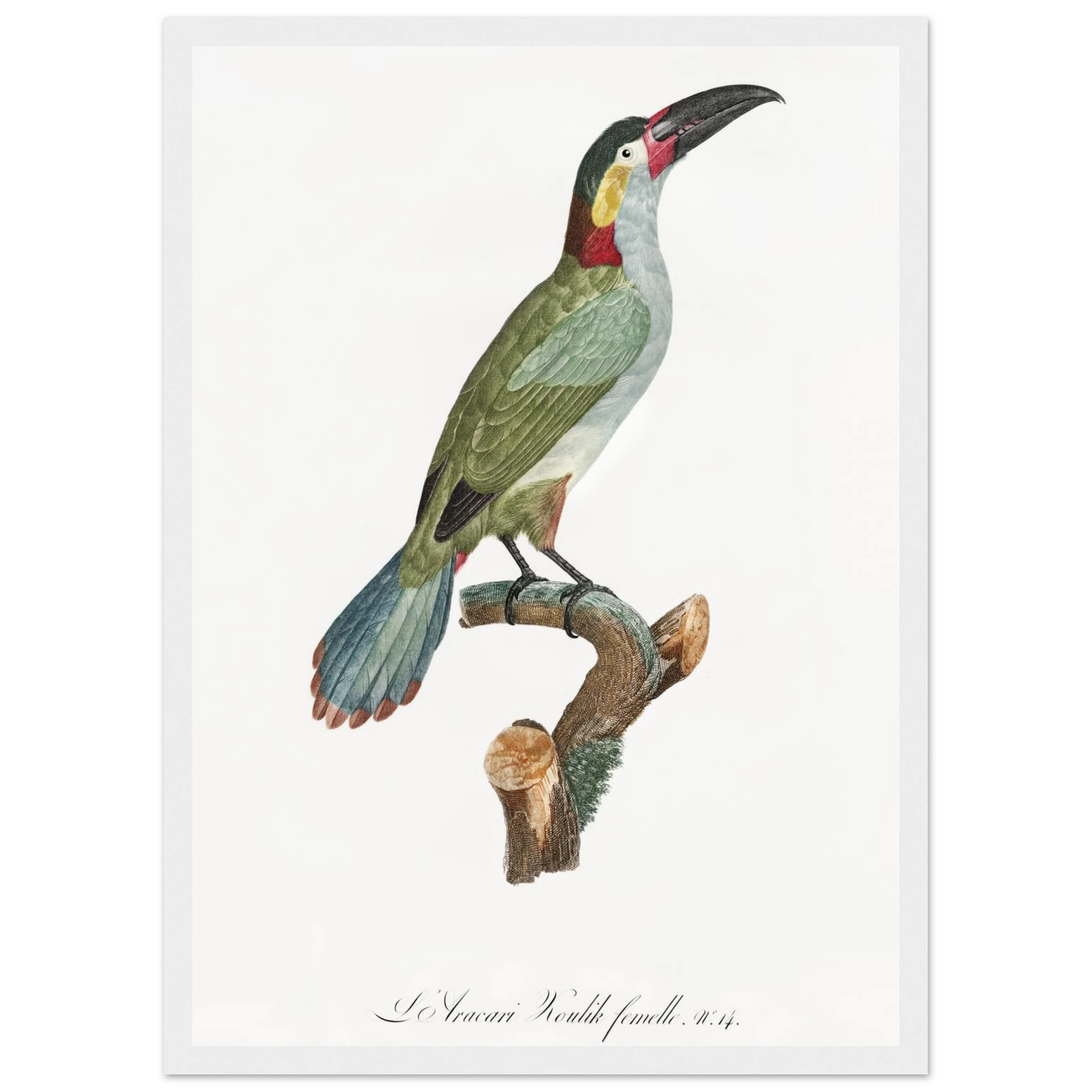 828e2c8b-3f9f-438f-8e63-ed7087cea35c