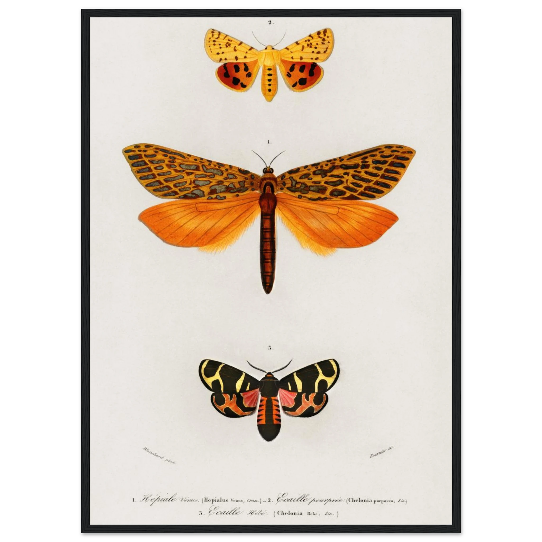 829f90ae-7042-4ec7-97f1-7a3d9a9fdb5e