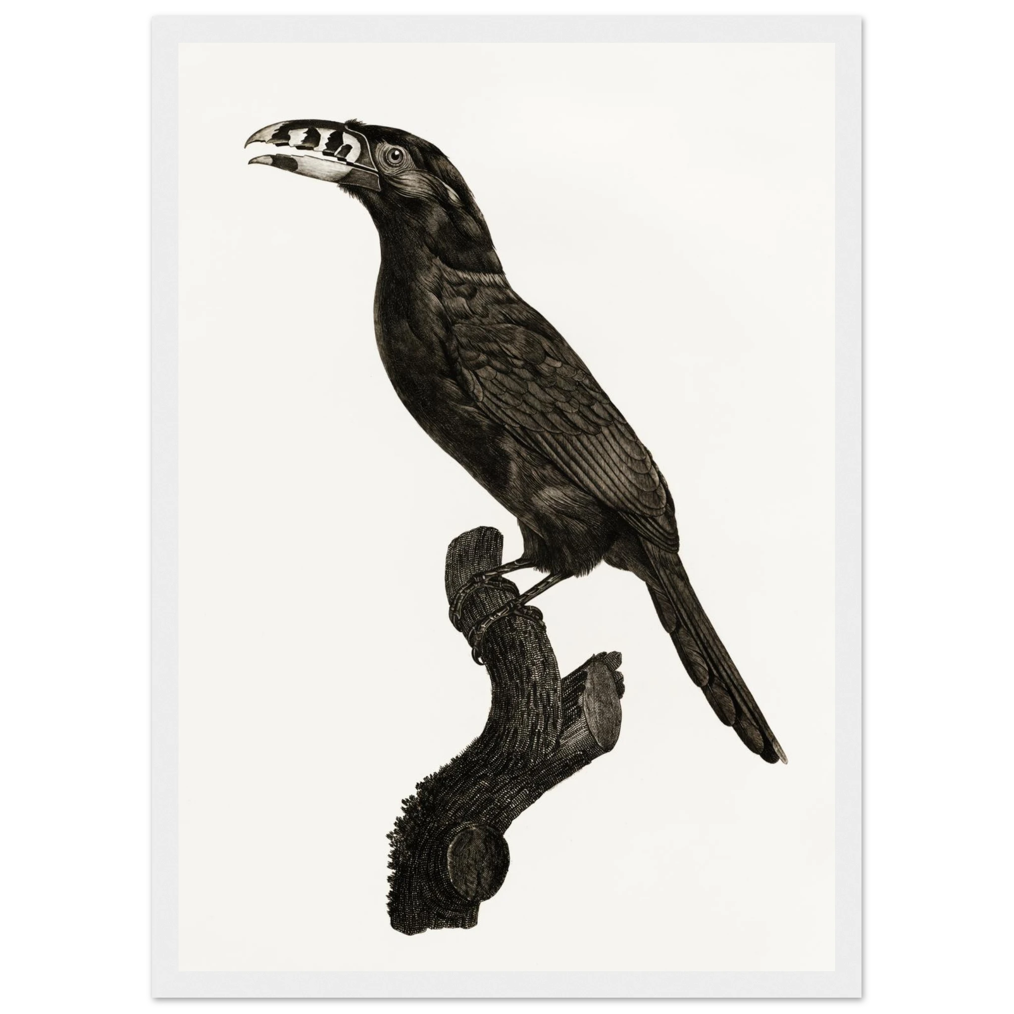 82f194d5-029d-419c-bc64-4e3065a801dd