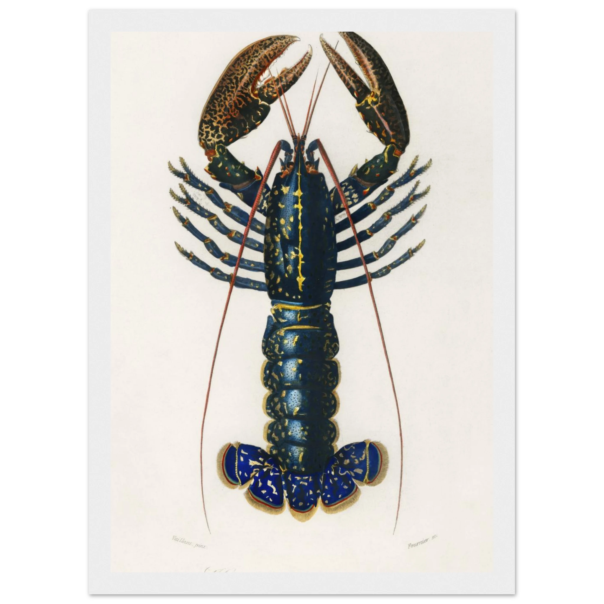 830a6d0e-1014-4d99-b1bd-5f92c928537d