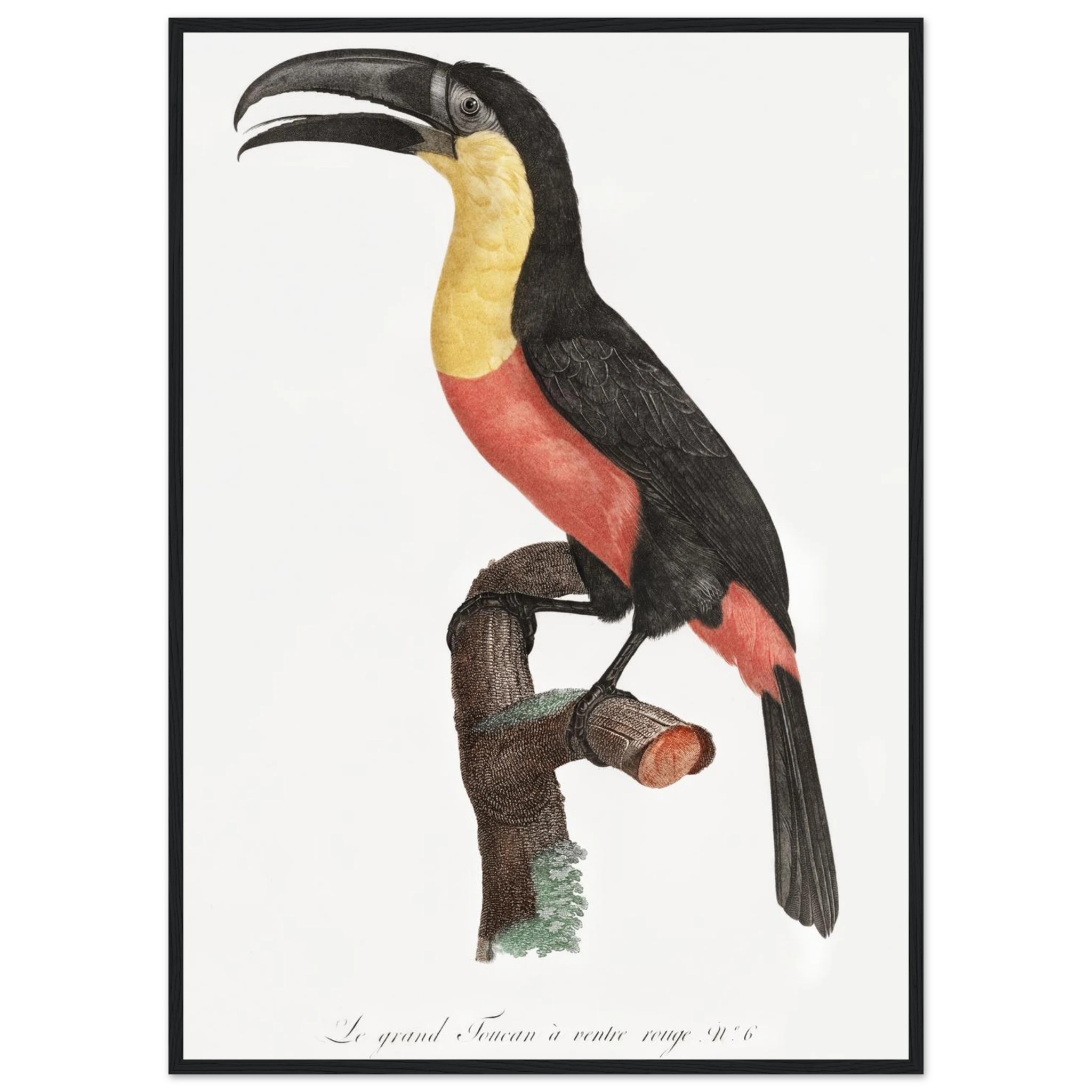 8312b64e-e7ca-4ba6-ad3d-62be9ced5b50