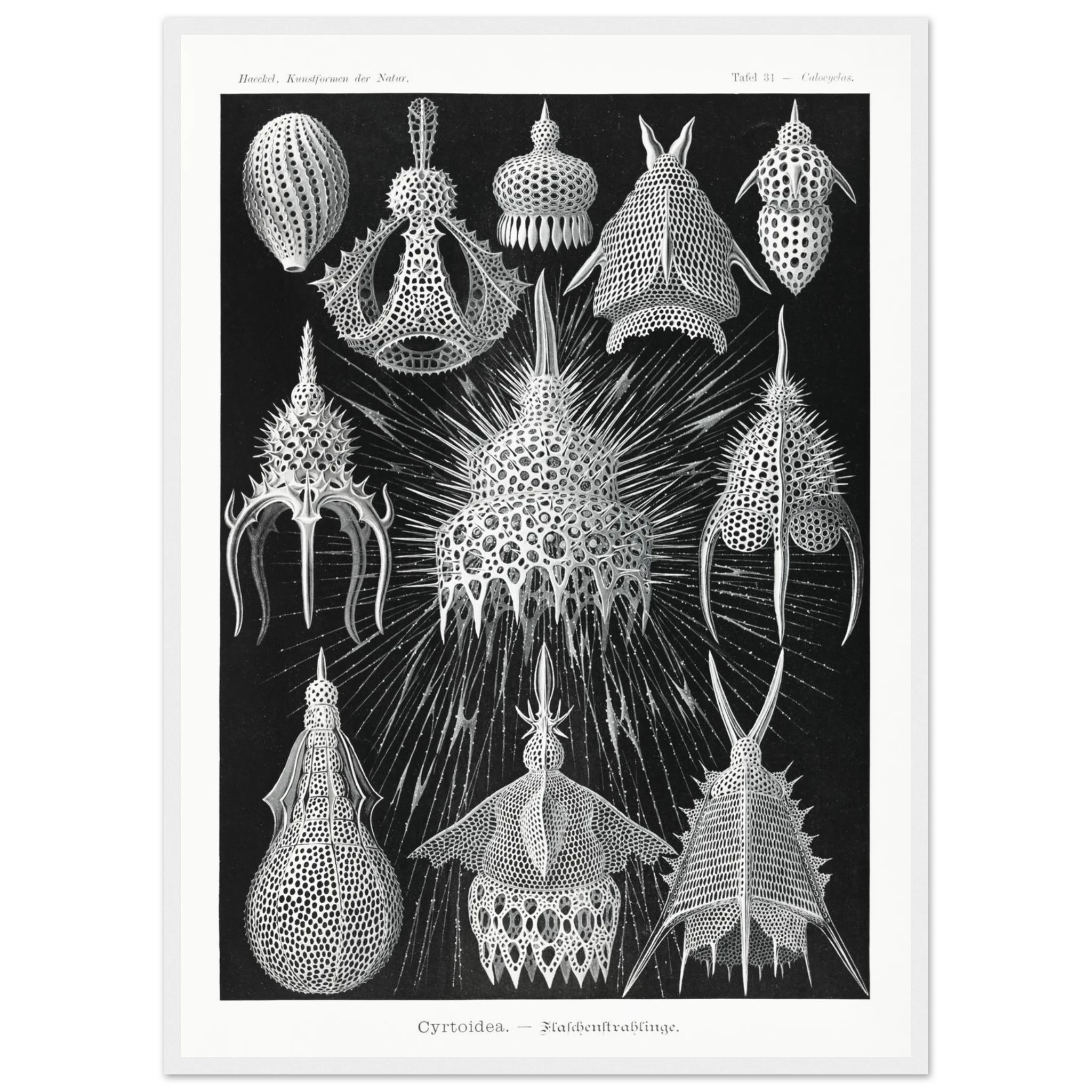 834a511b-c3e9-4b25-a31d-0768aa30c5ff