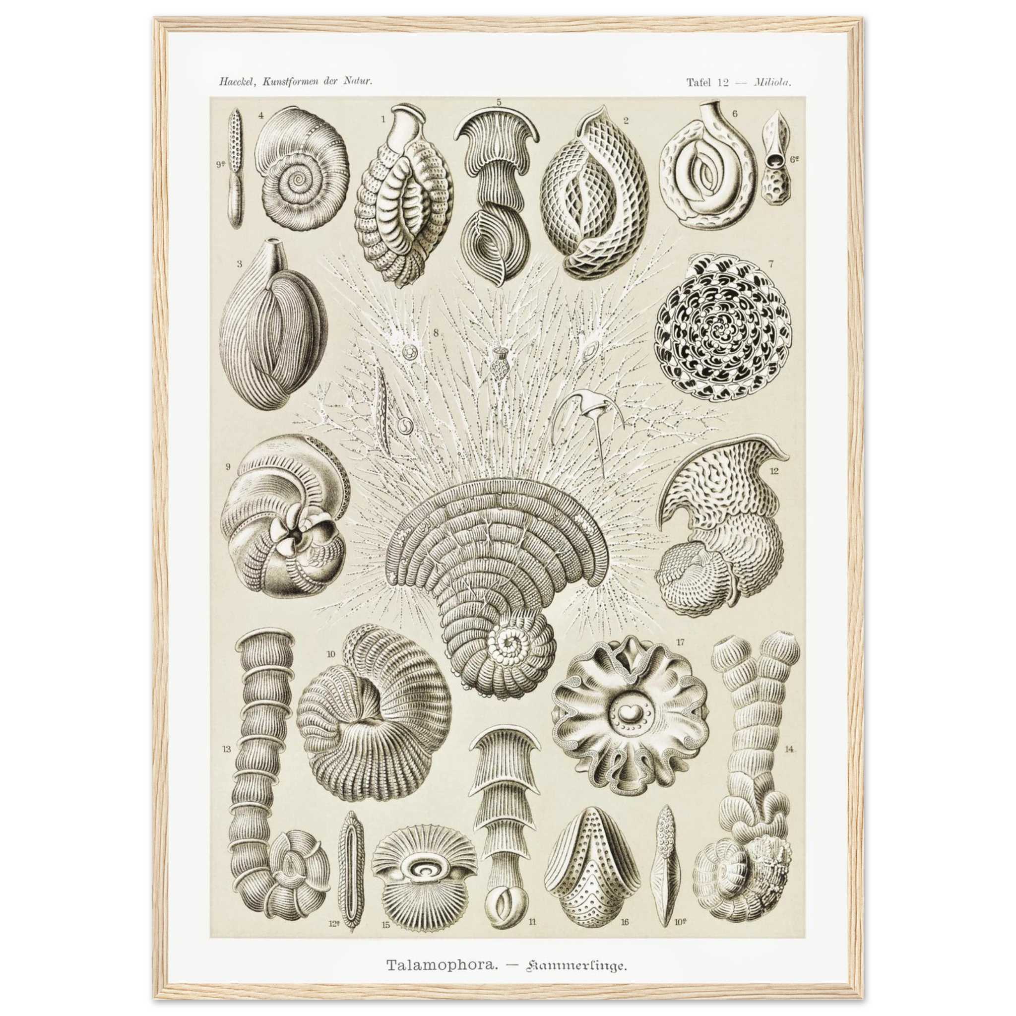 8350e5f1-b6dc-4b92-b425-8e360840ba86