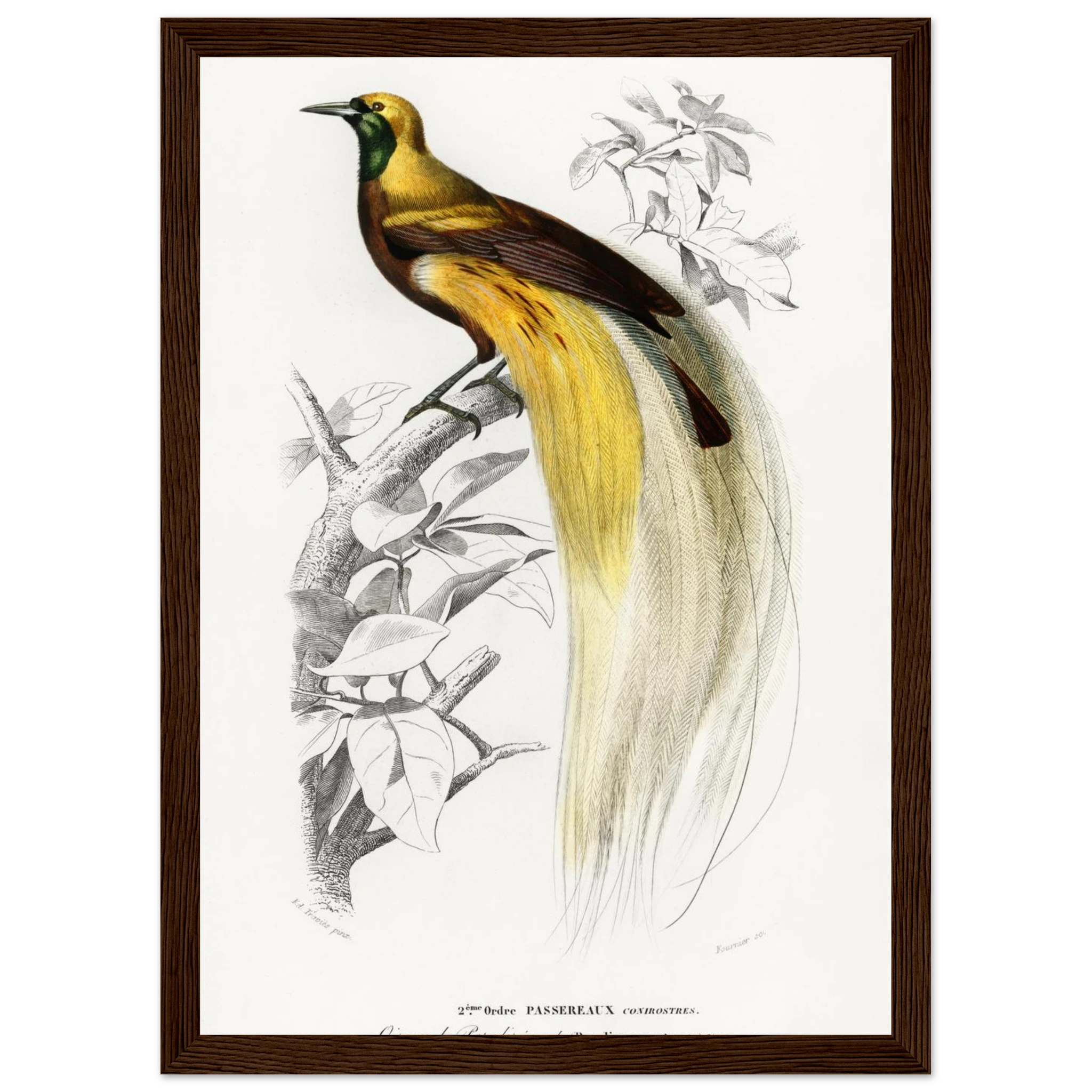 83b44a29-5df7-4d01-821e-9eaa425ae44b