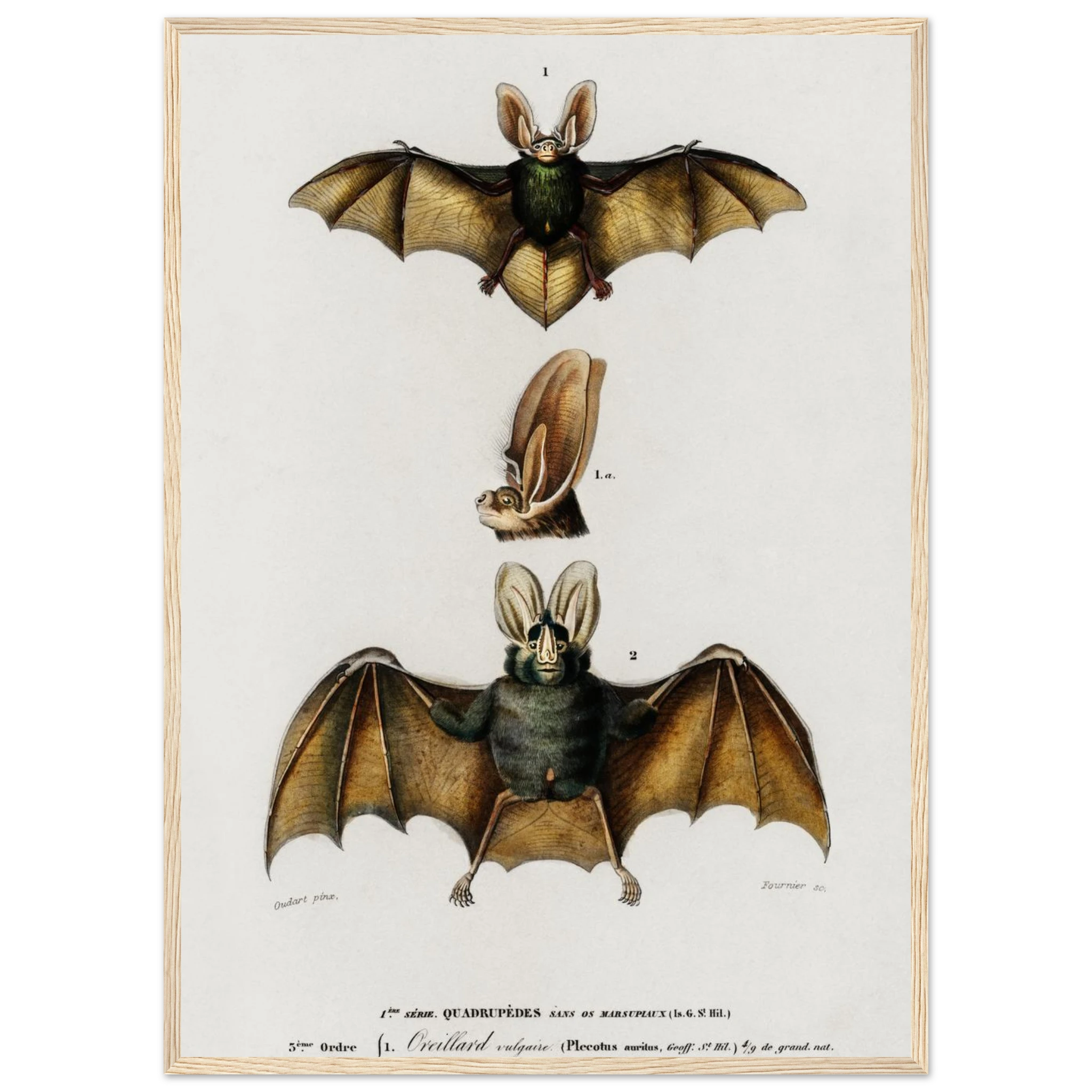 83d251f4-49e7-4fbe-990e-d91a6211d701