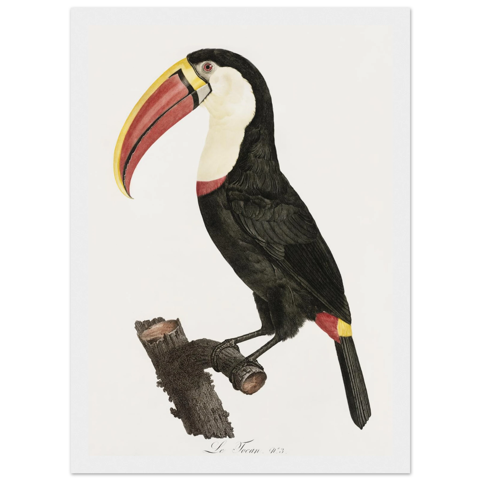 8430df06-a8bd-485d-811b-2ee3affc1608