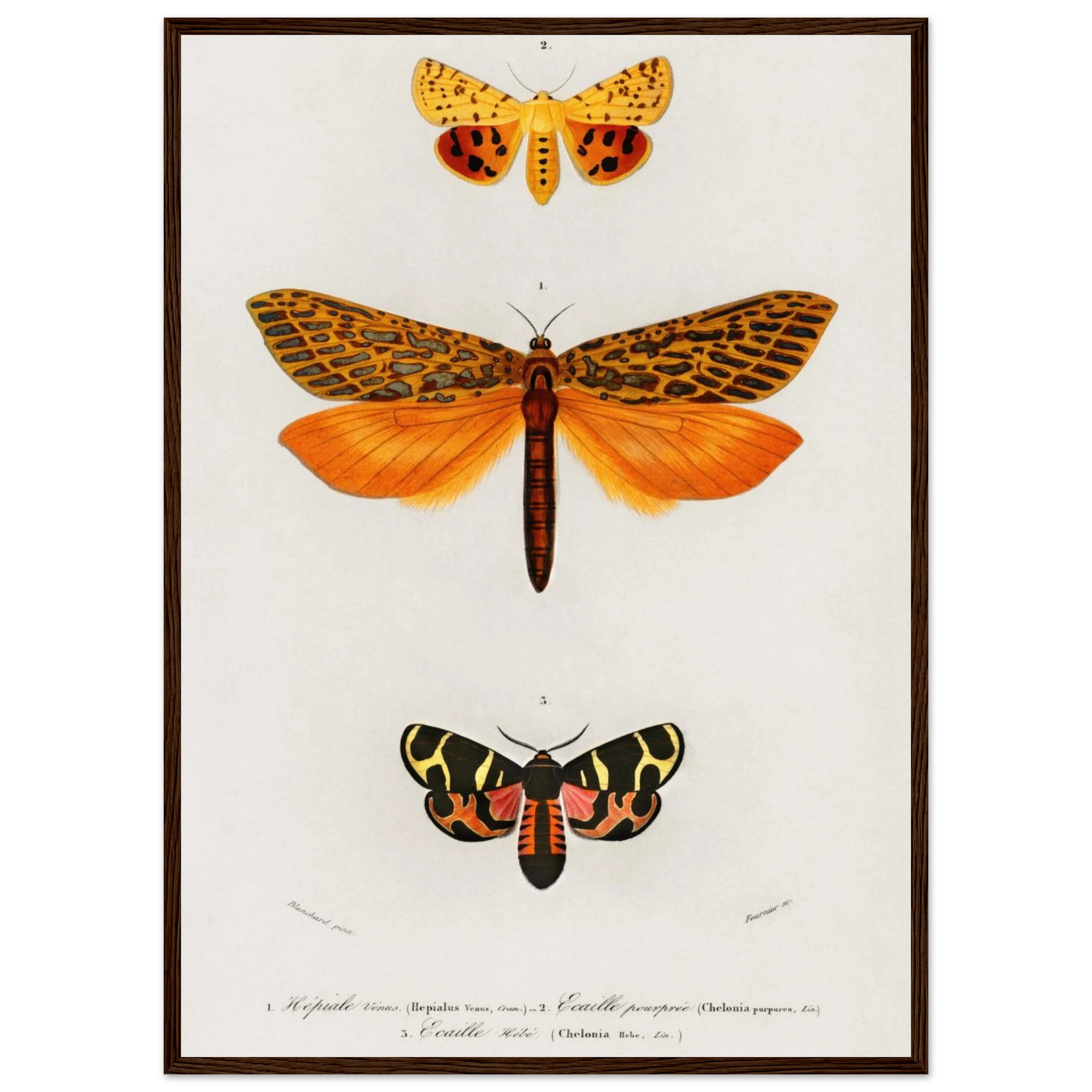 84349b31-e947-4b53-9f78-4889f8fd6969