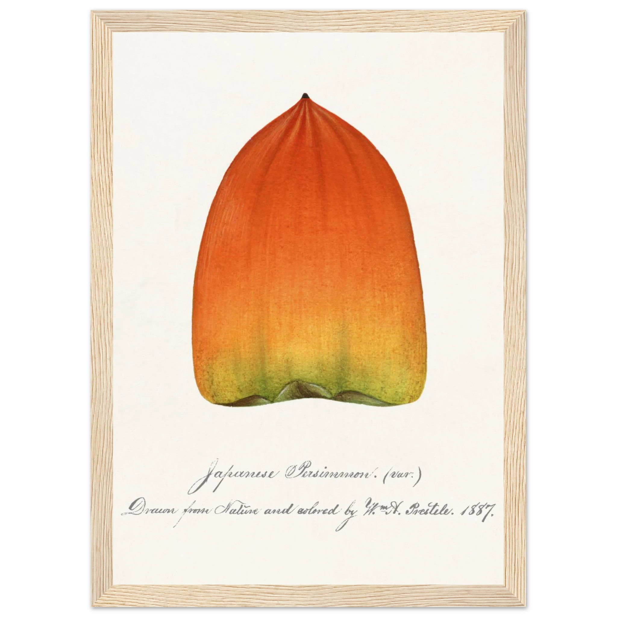 845d8ee8-ebf2-4593-a040-1e9633727bc8